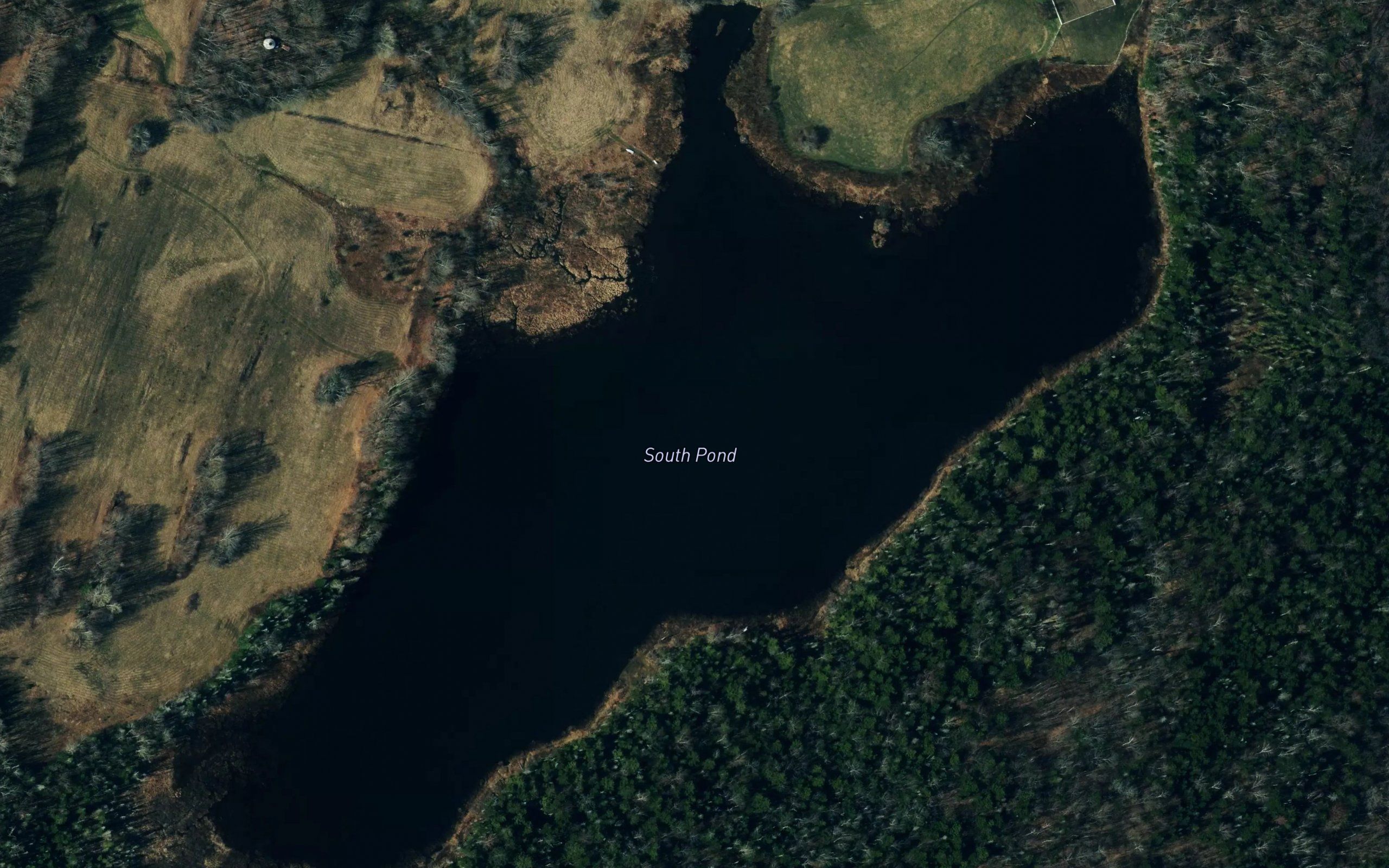South Pond