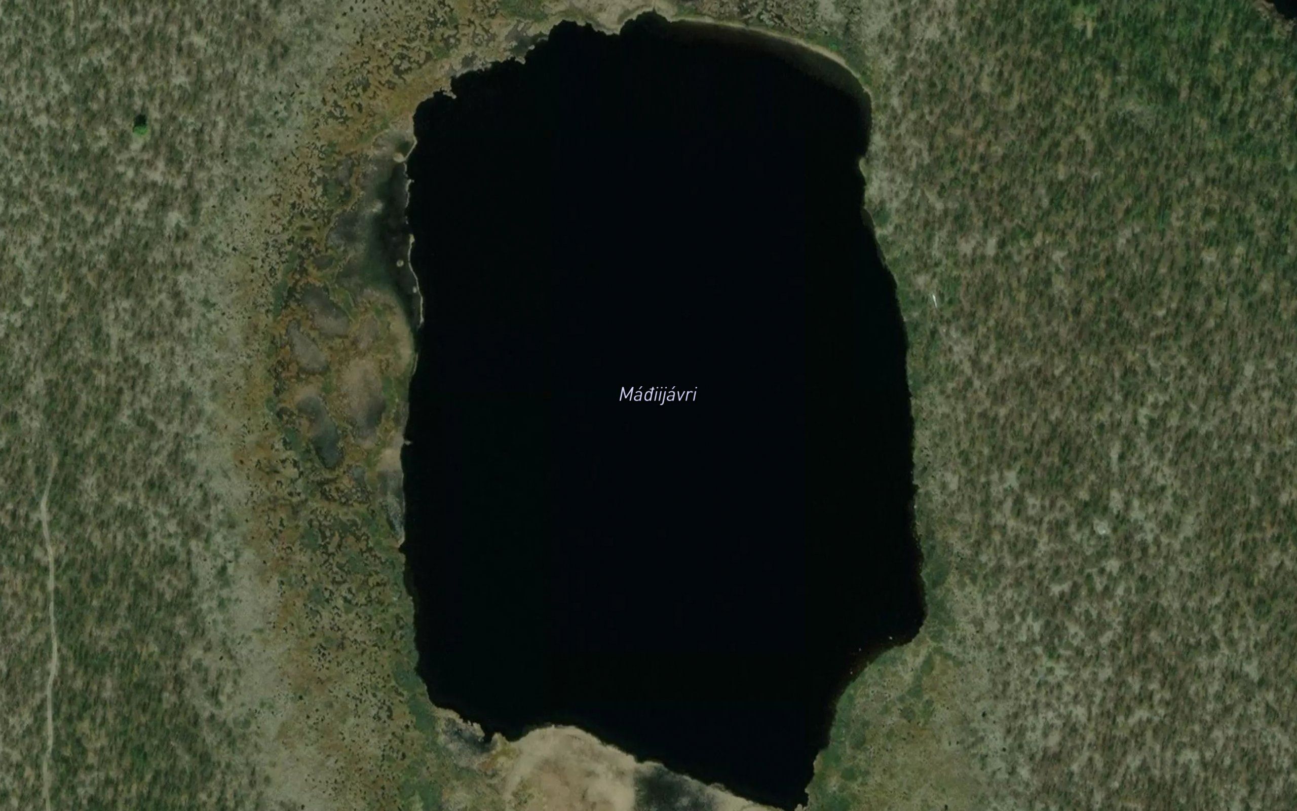 Magiijavri