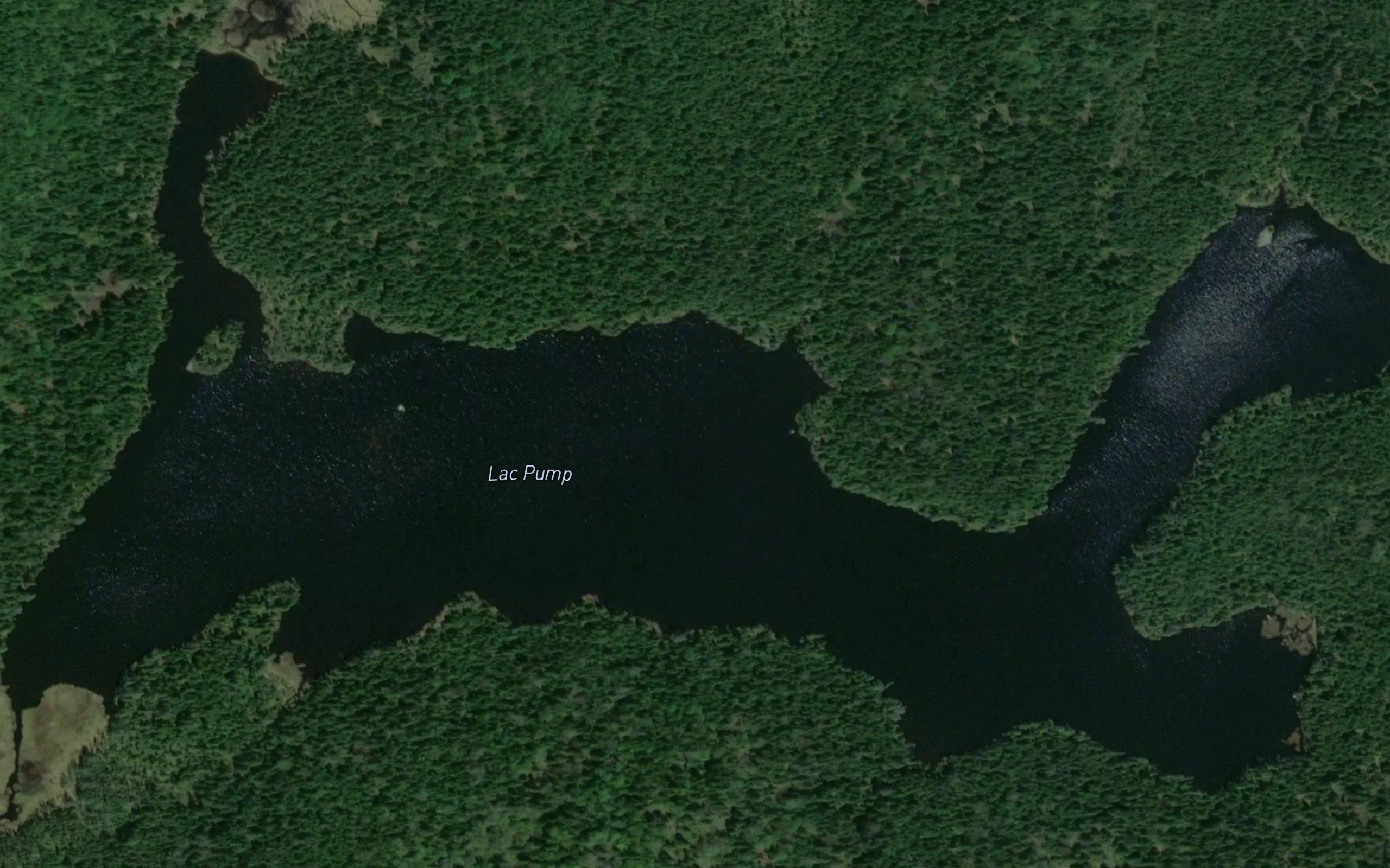 Lac Pump