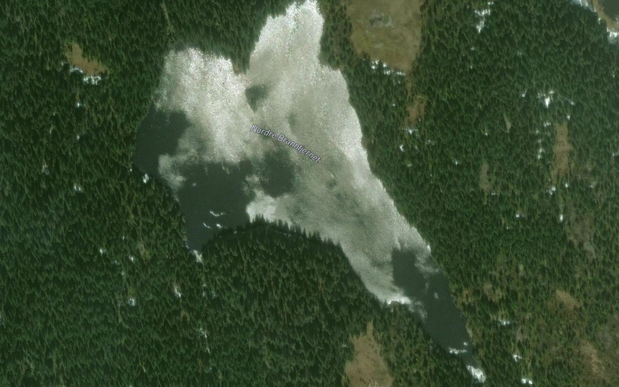 N. Branntjern