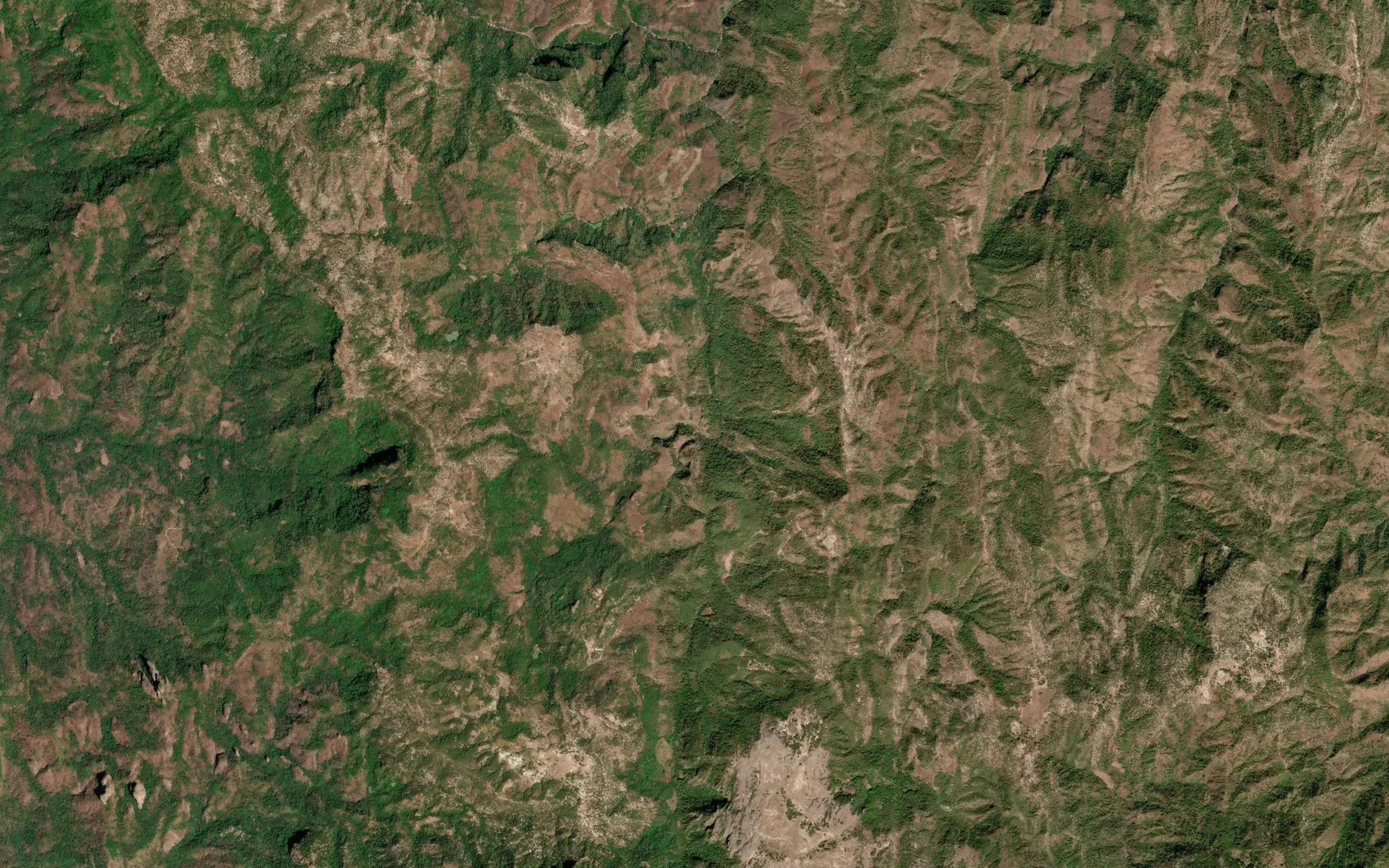 Arroyo los Pinitos