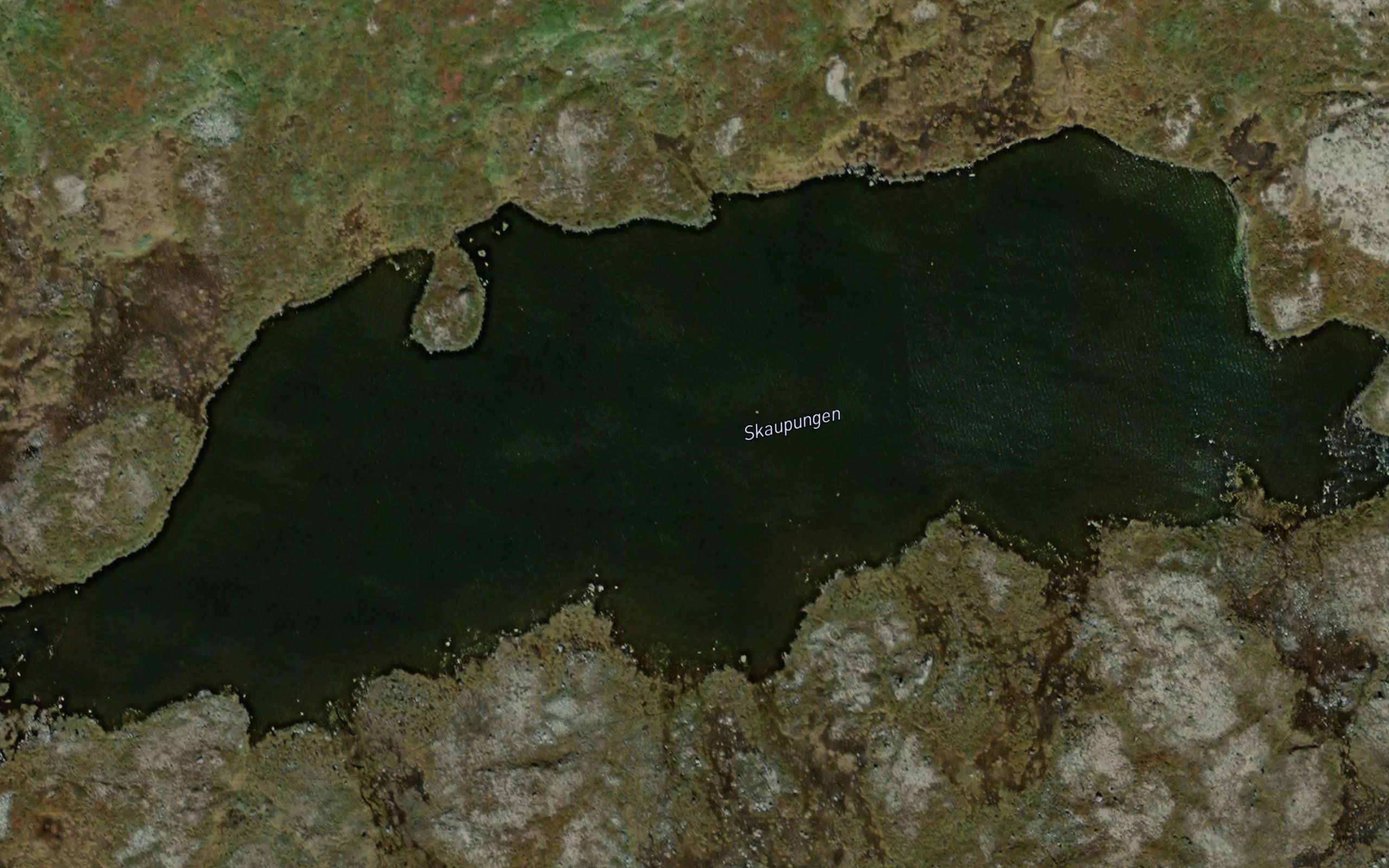 Skaupungen