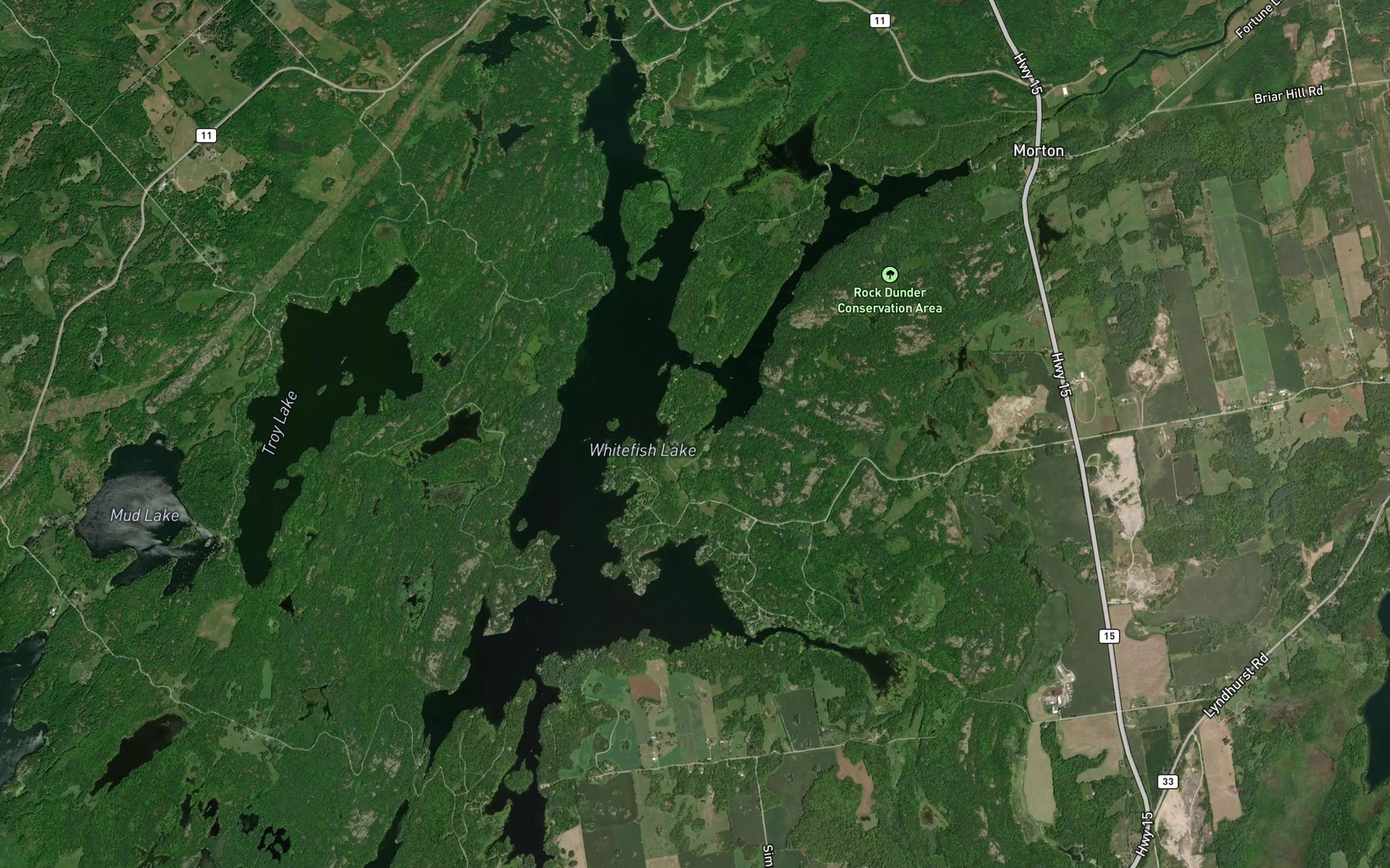 Satellite map of the Whitefish Lake