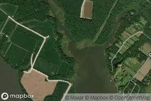 My Ladys Swamp
