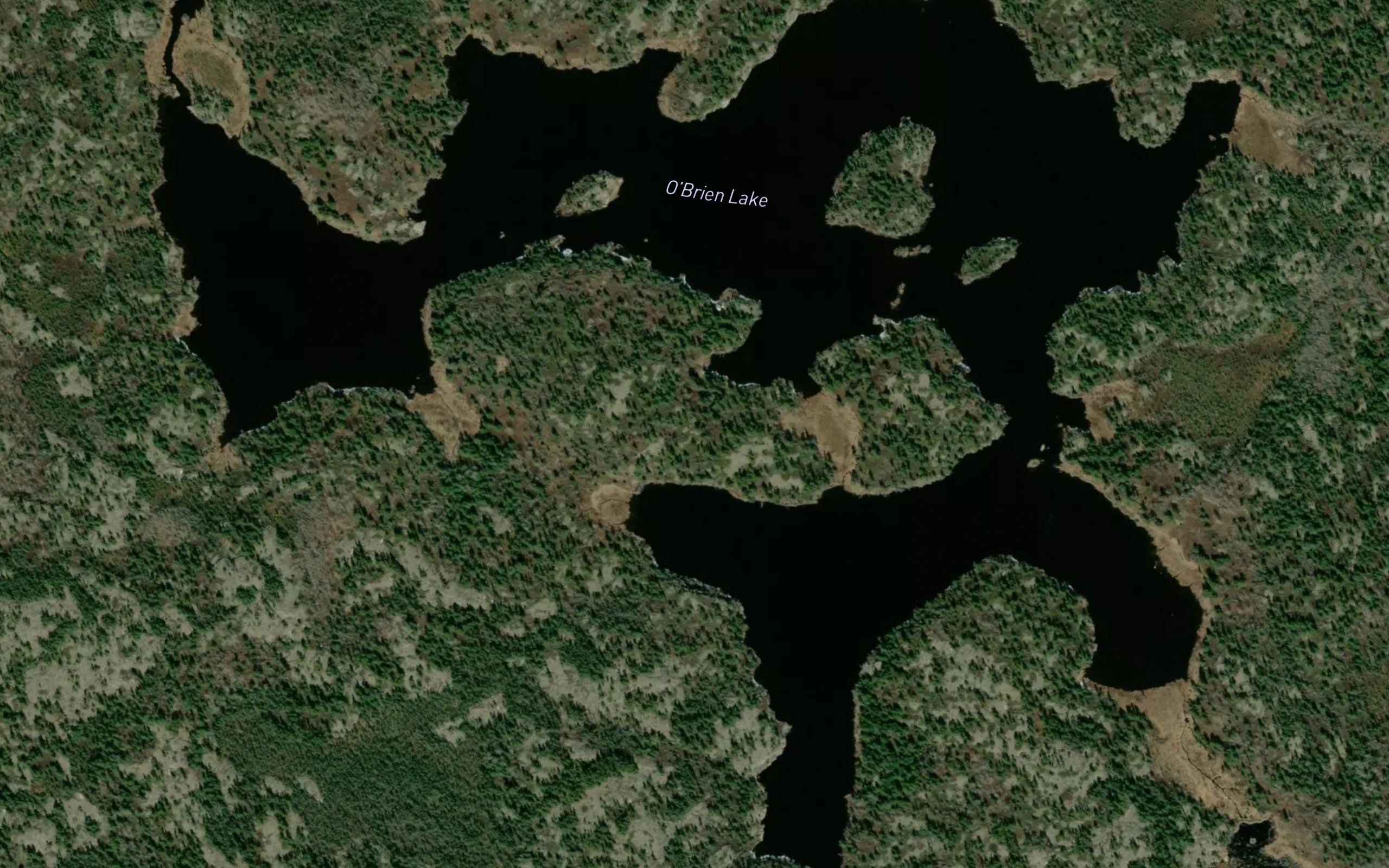 O'Brien Lake