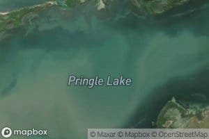 Pringle Lake