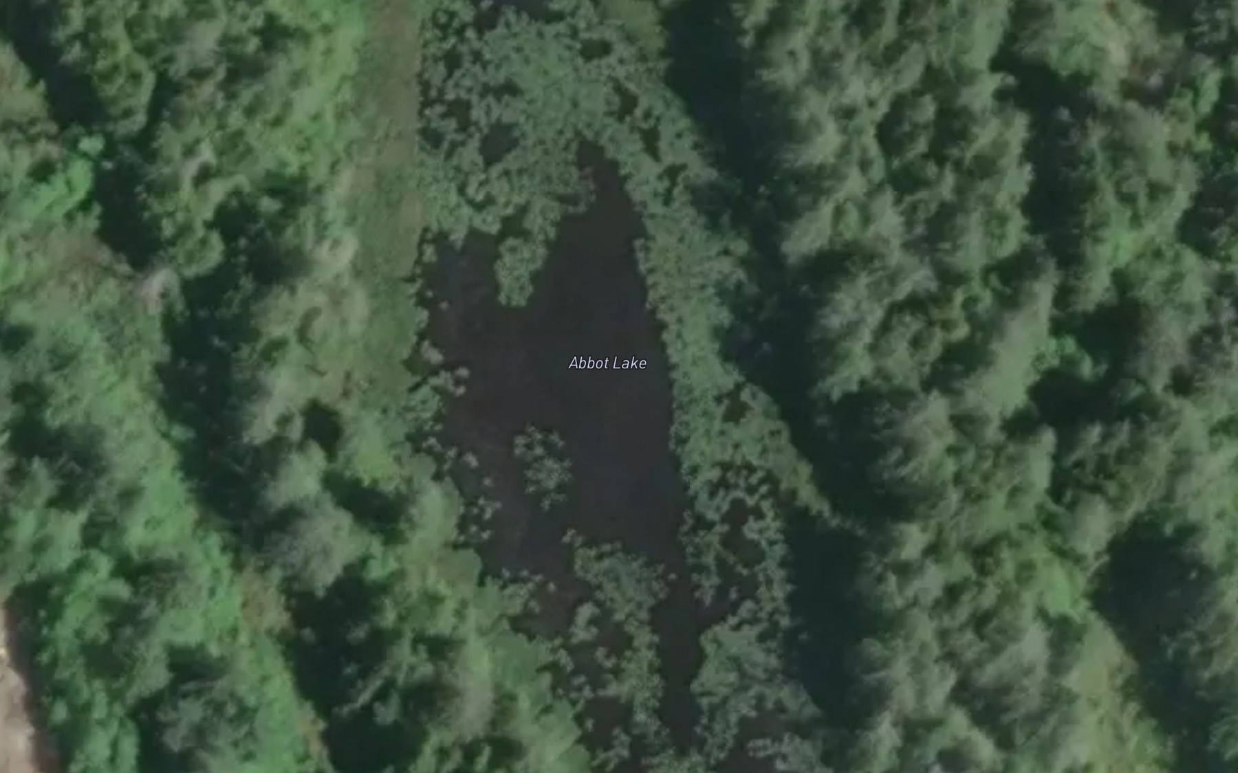 Satellite map of the Abbot Lake