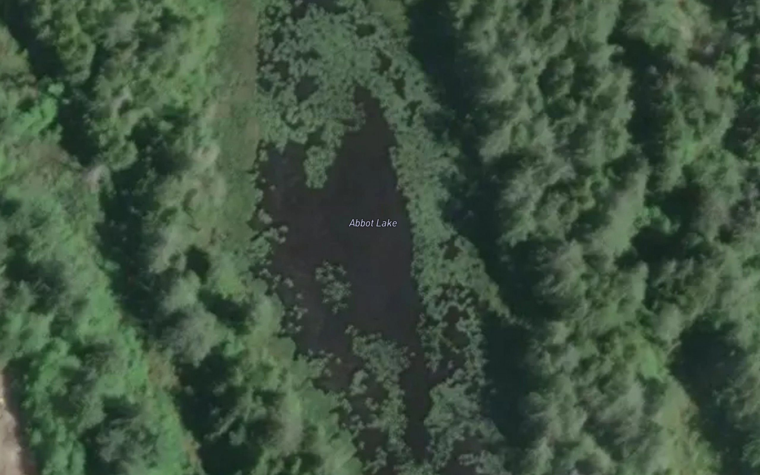 Abbot Lake