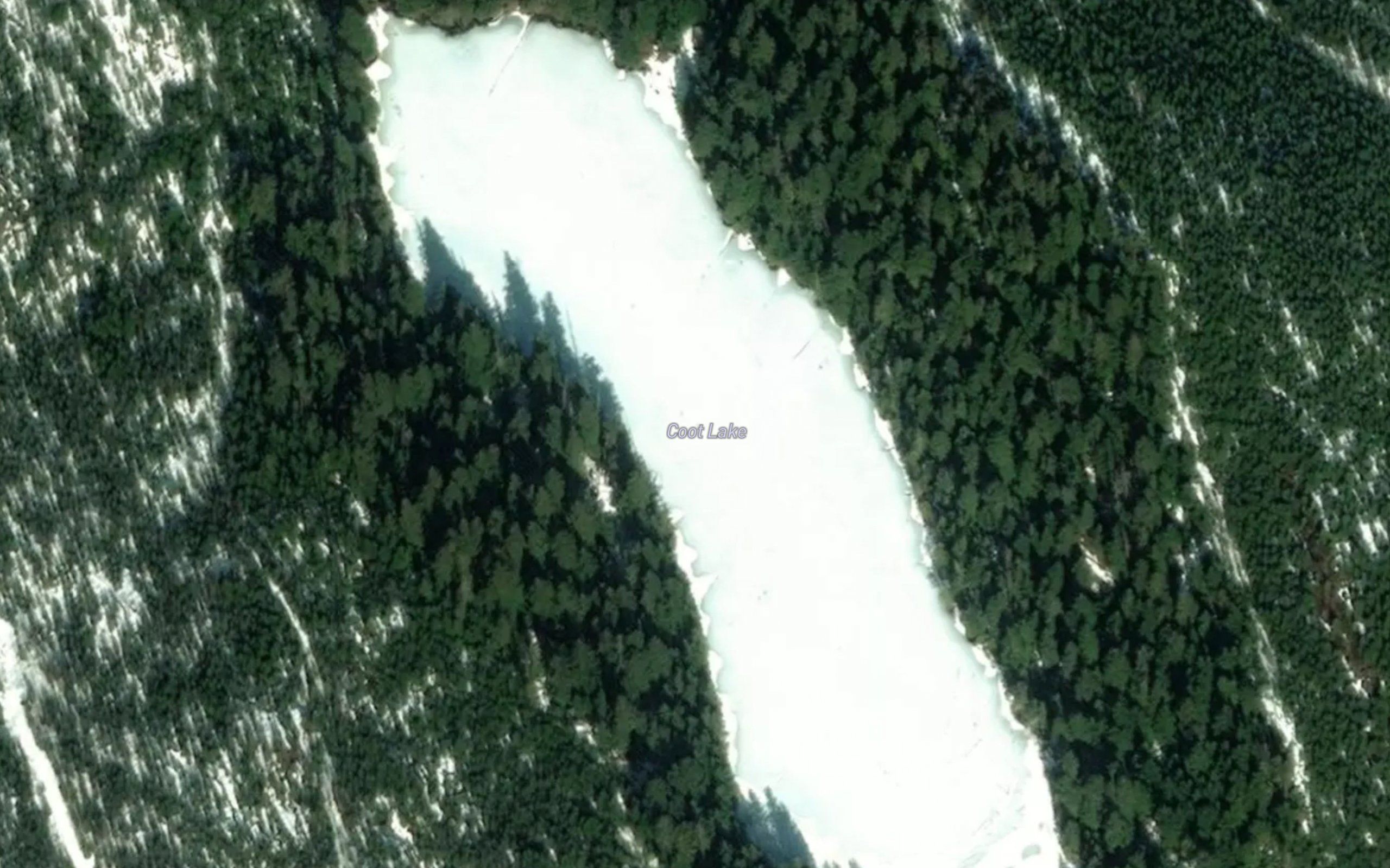 Coot Lake