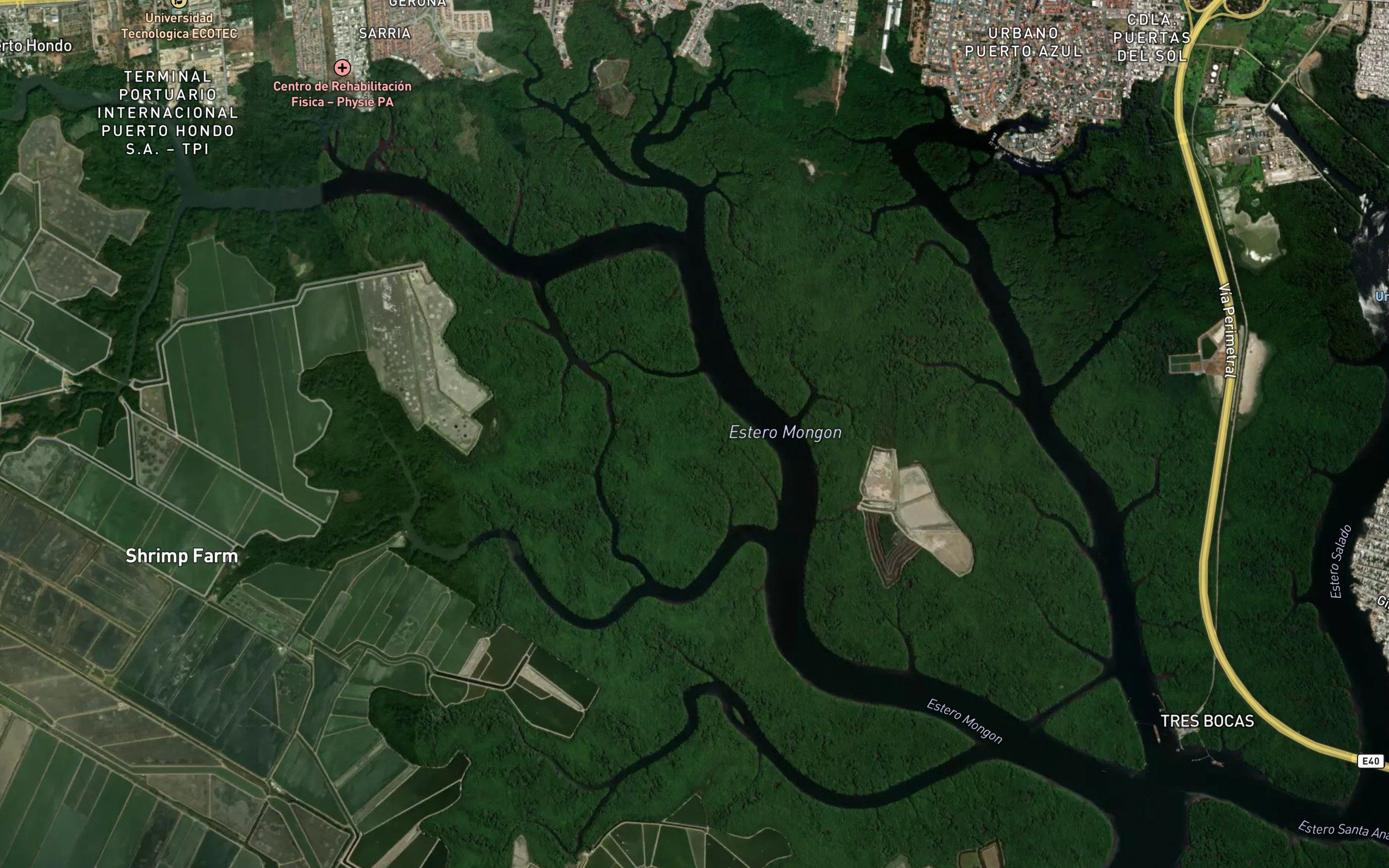 Estero de Mongon