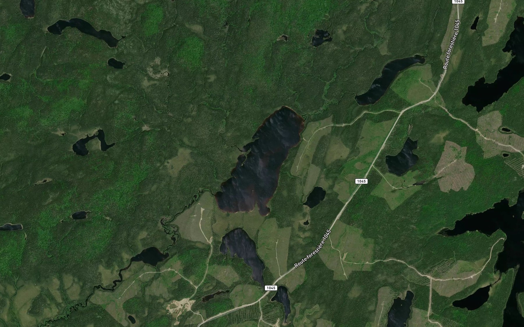 Satellite map of the Lac Mockotcakoc
