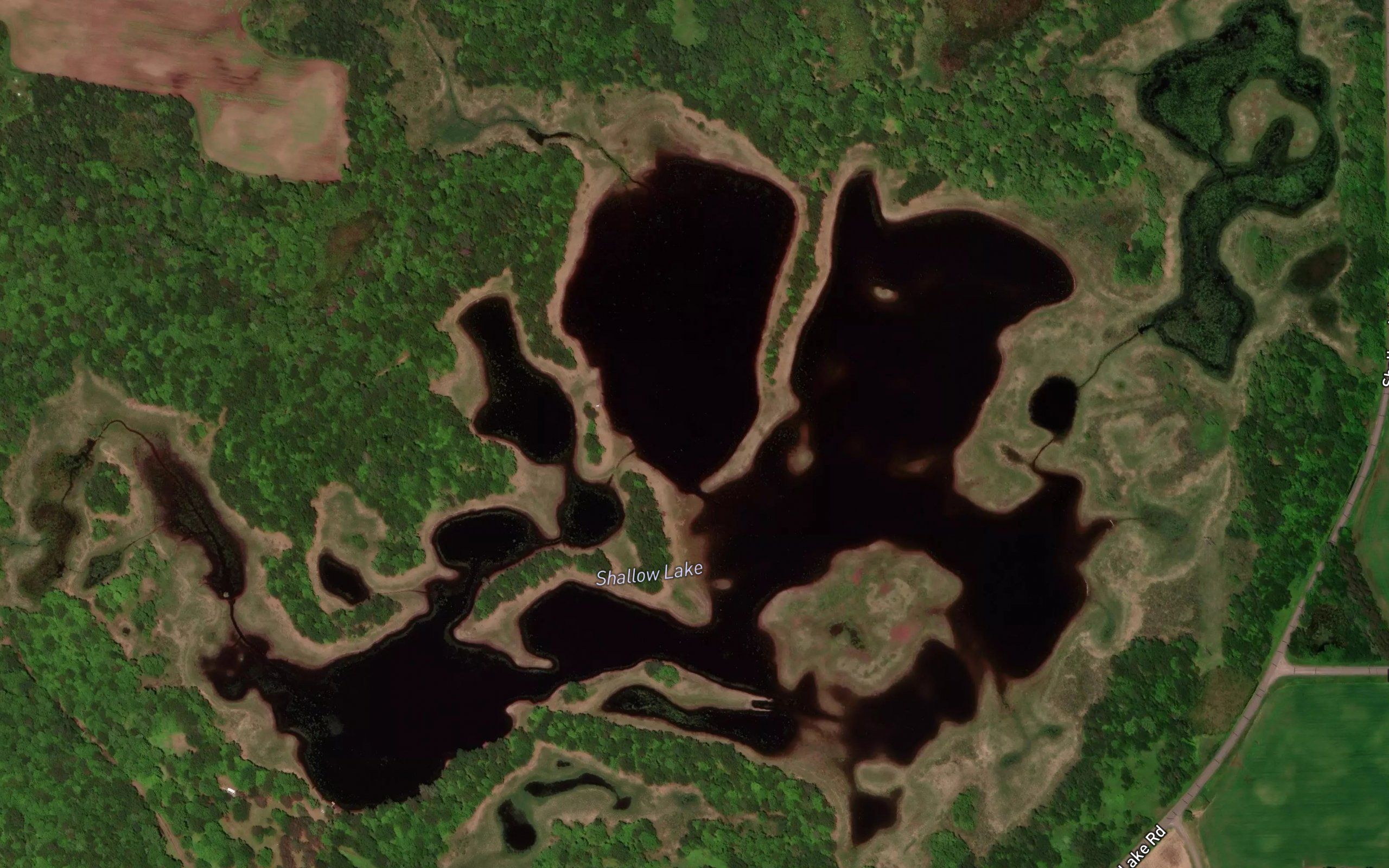 Shallow Lake