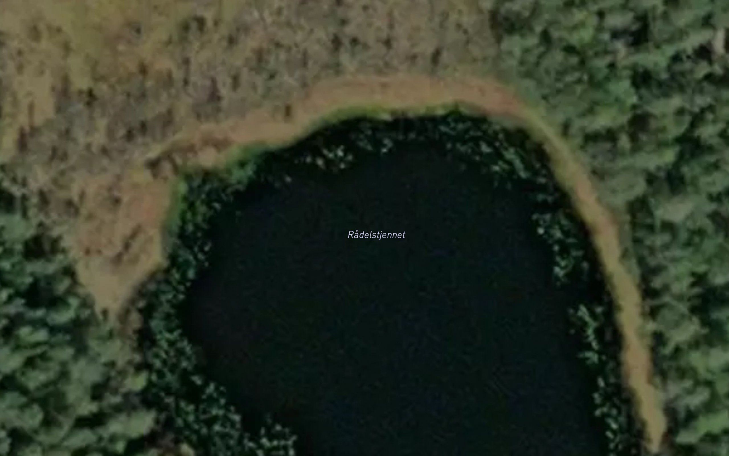 Radelstjennet