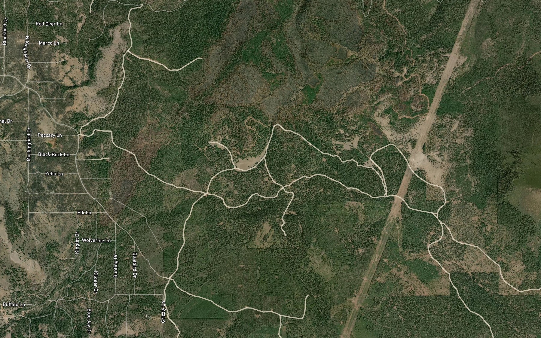Satellite map of the Cold Spring