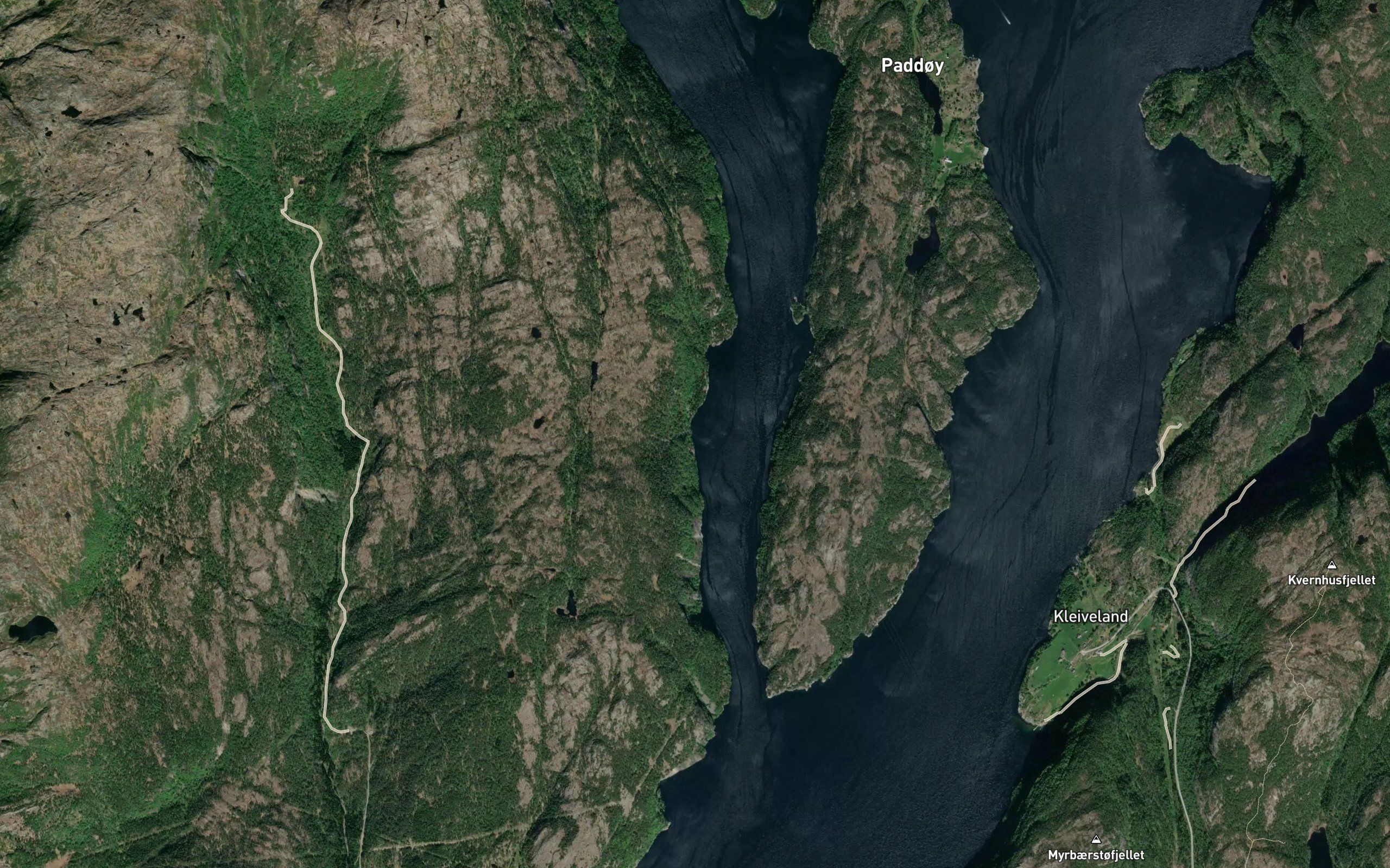Steinbugen