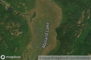 Mallard Lake