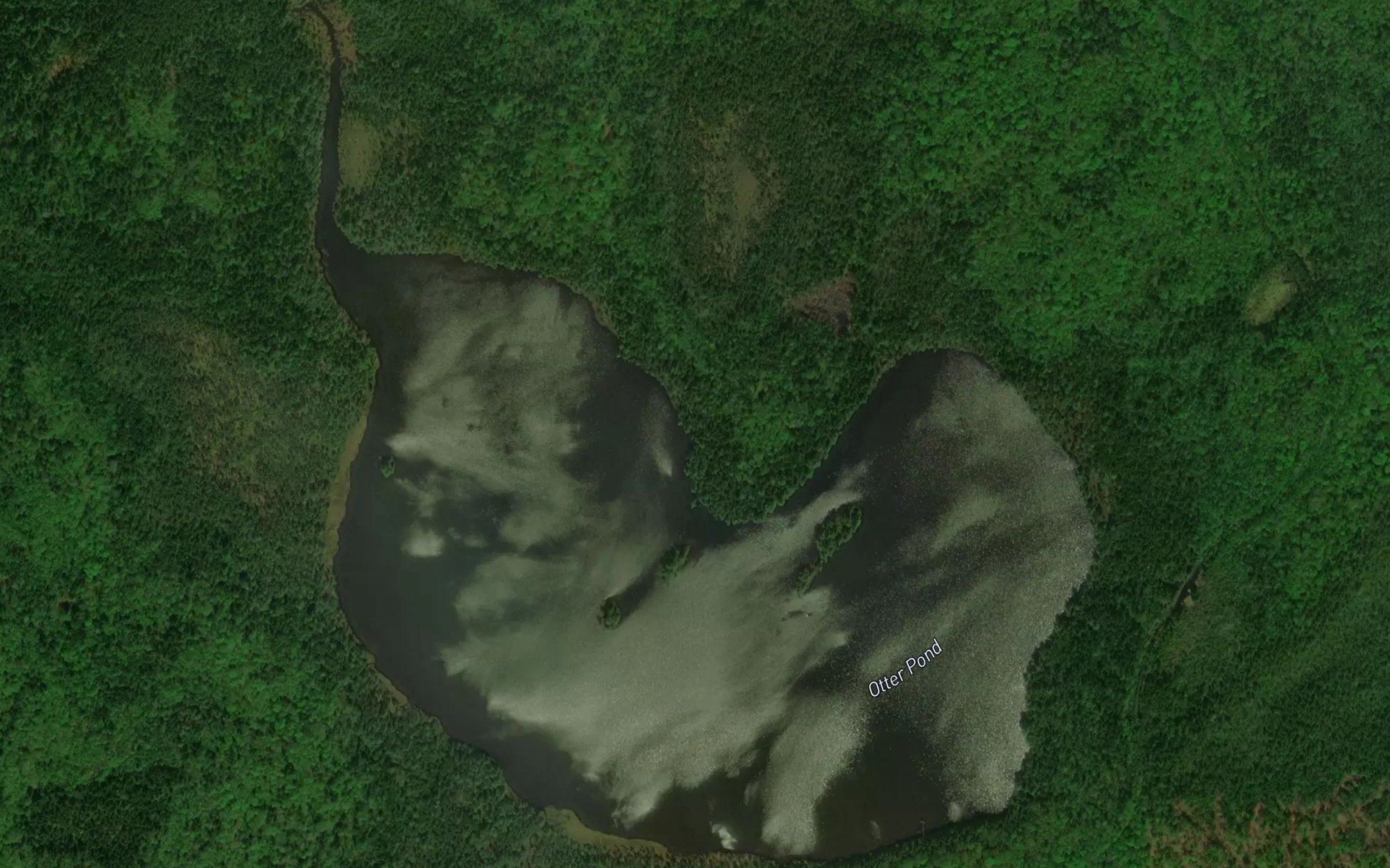 Otter Pond