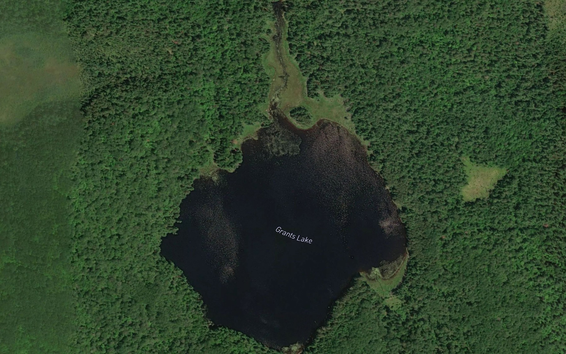 Satellite map of the Grants Lake