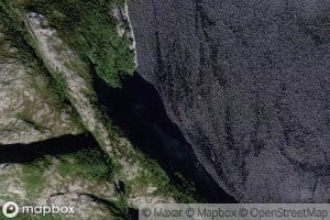 Skogavika