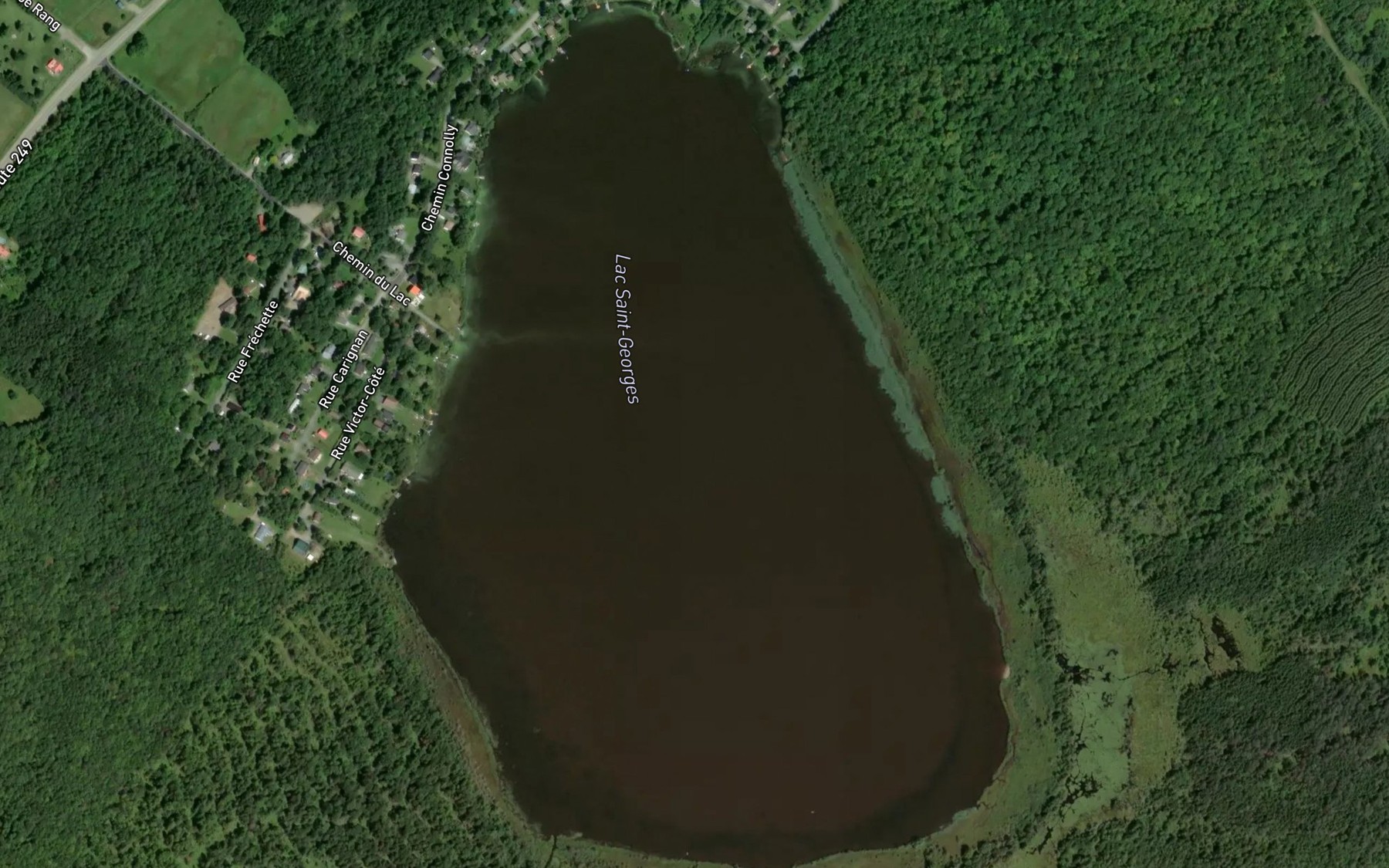 Satellite map of the Lac Saint-Georges