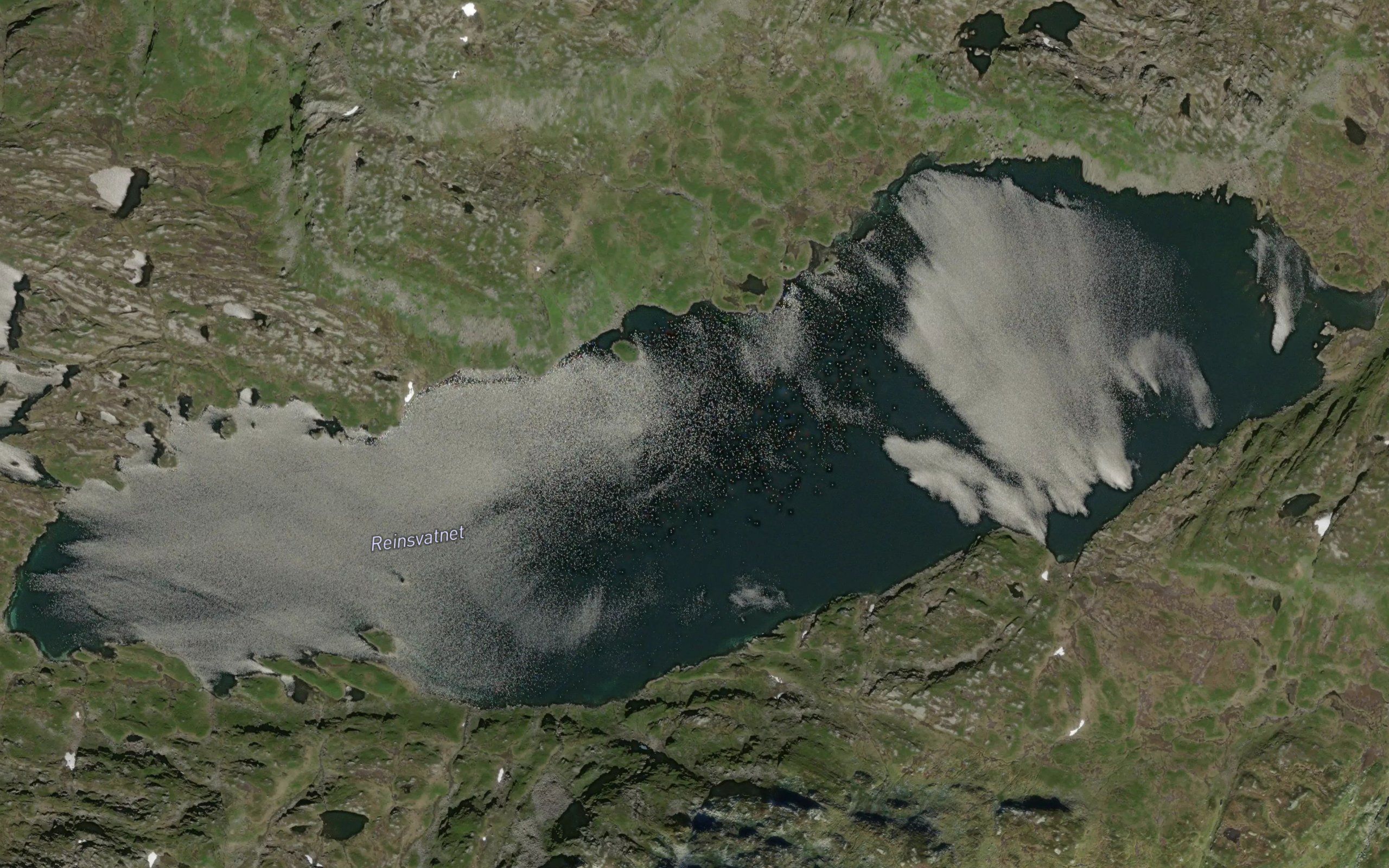 Reinsvatnet