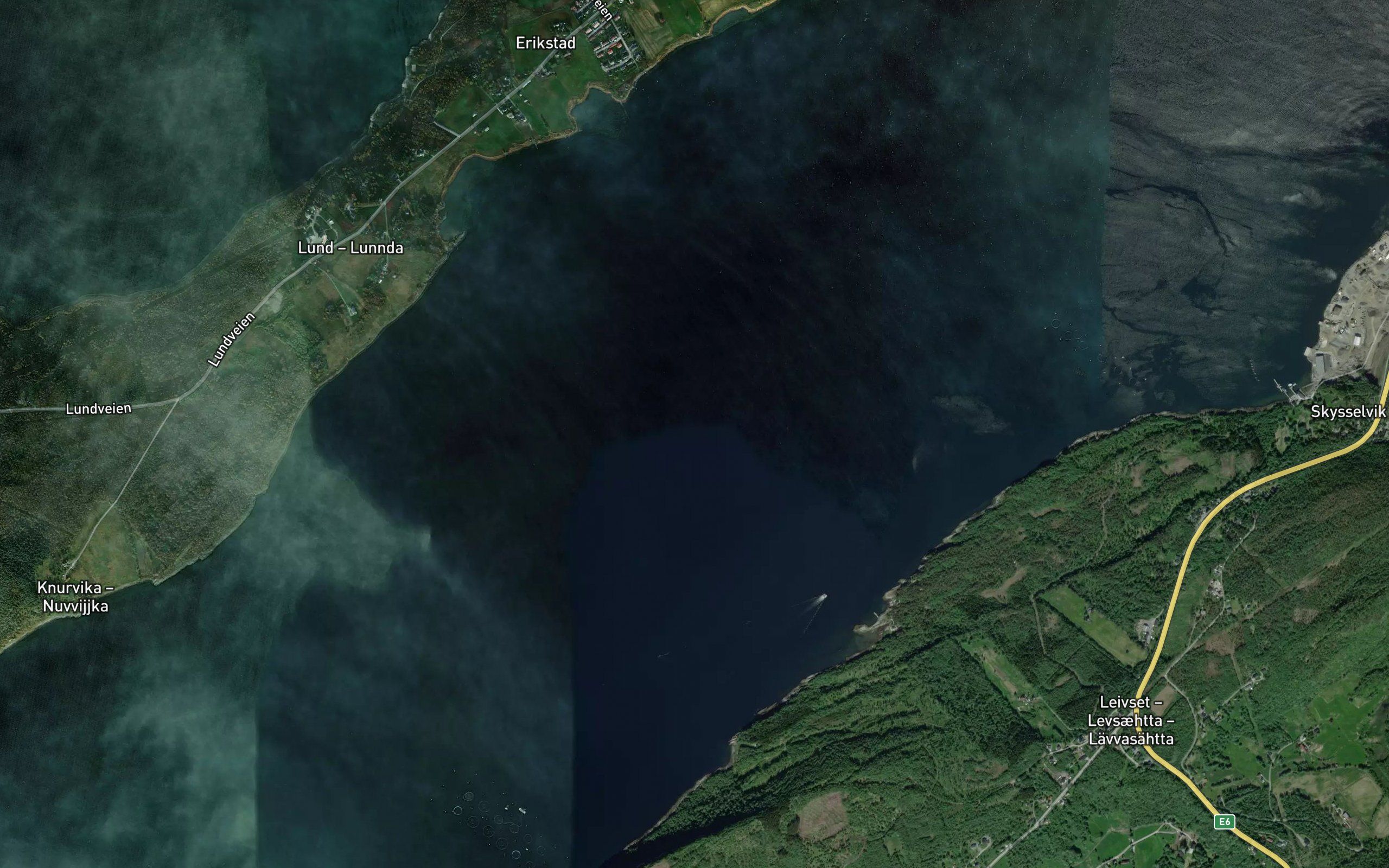 Fauskevika