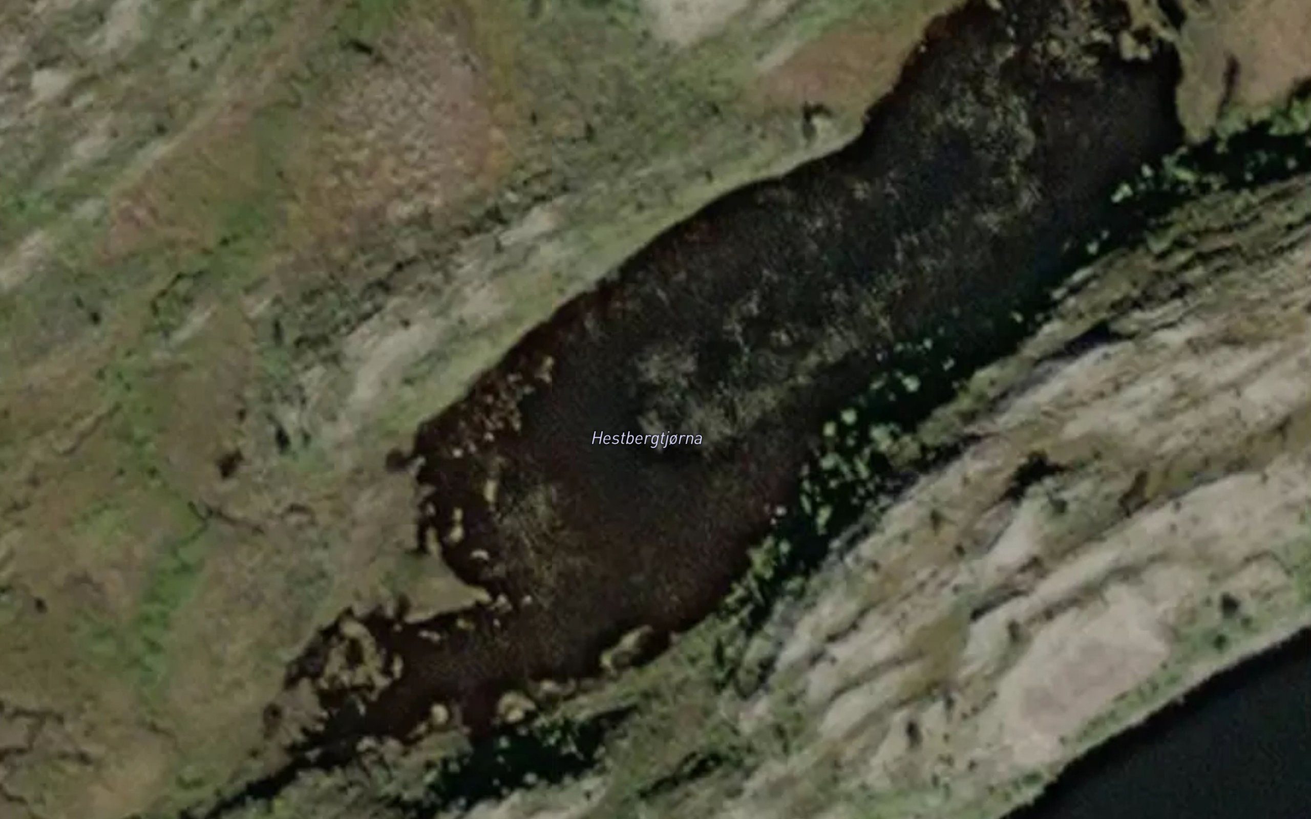 Hestbergtjorna