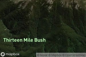 Selwyn River North Branch