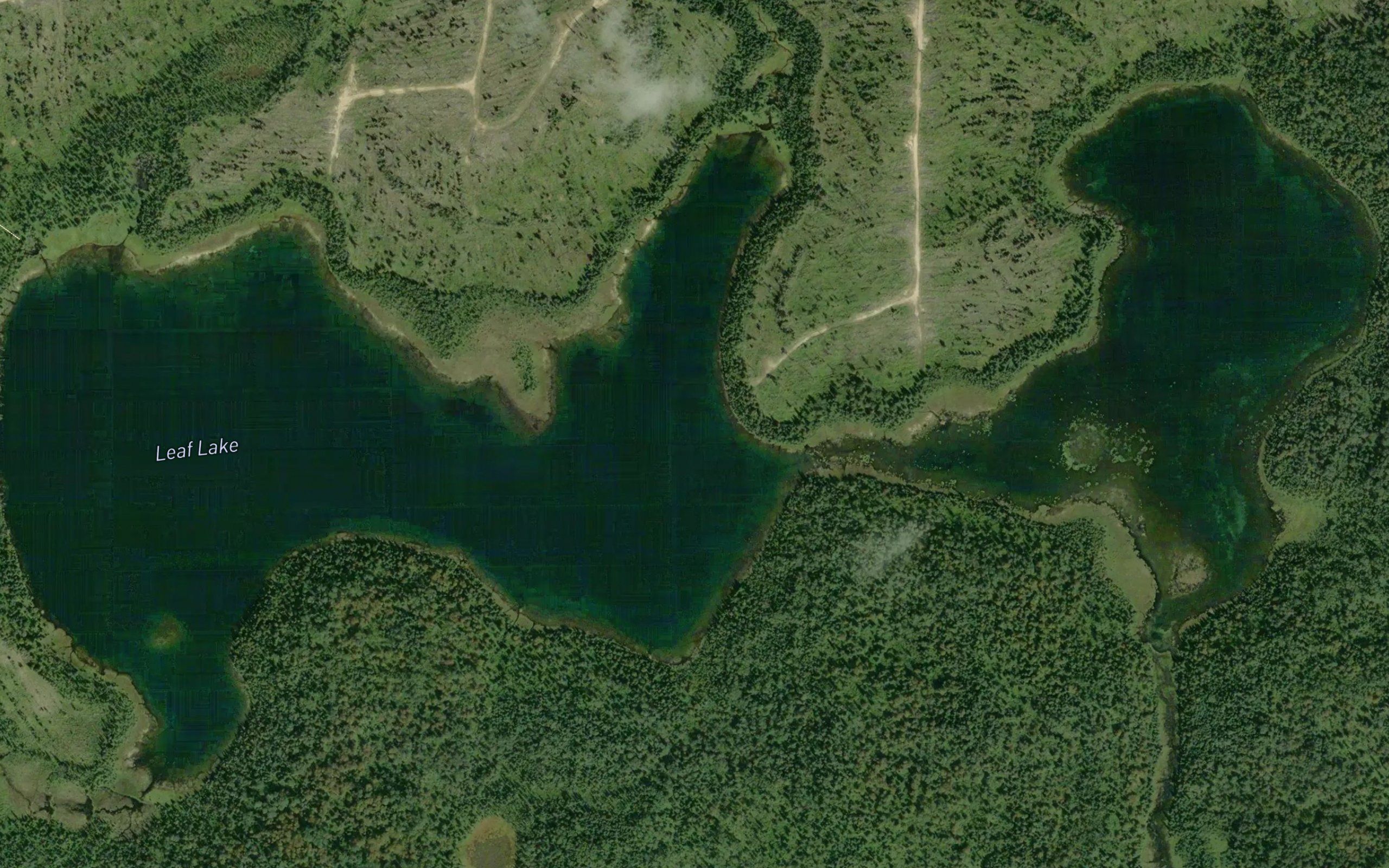 Leaf Lake
