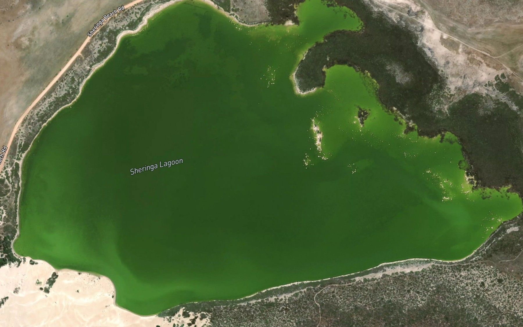 Satellite map of the Sheringa Lagoon