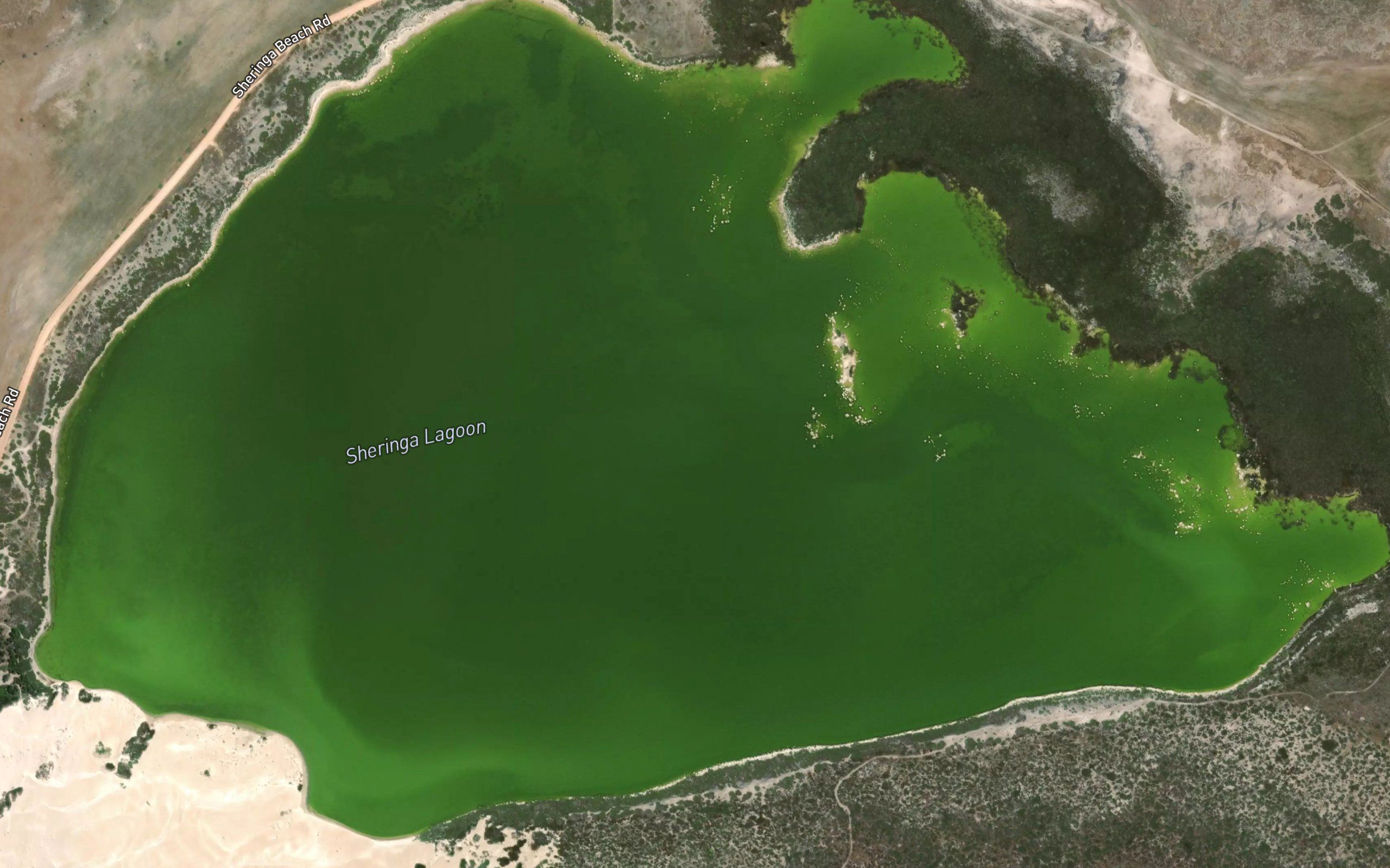 Sheringa Lagoon