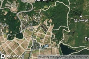 Bidongje
