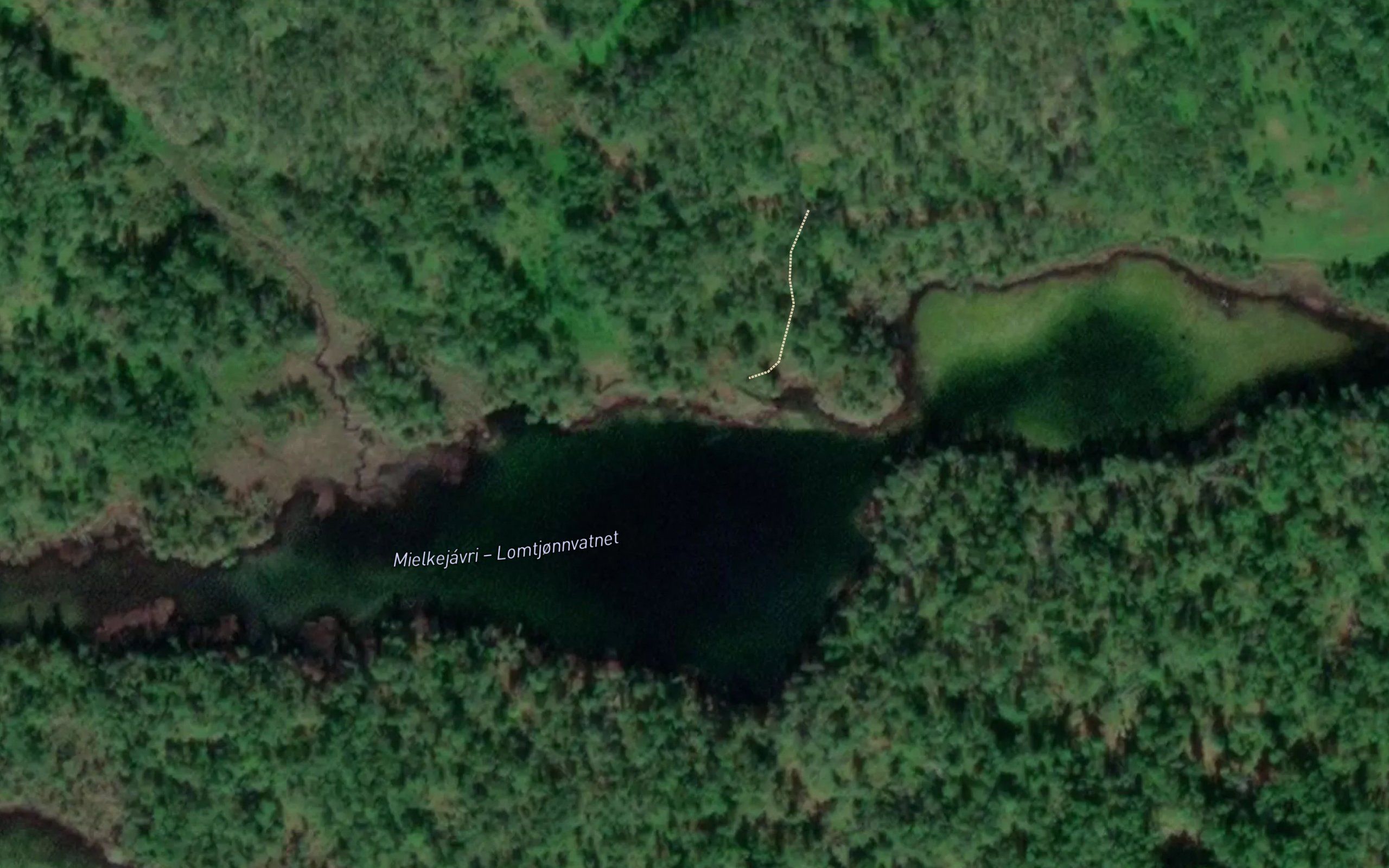 Lomkjonnvatnet