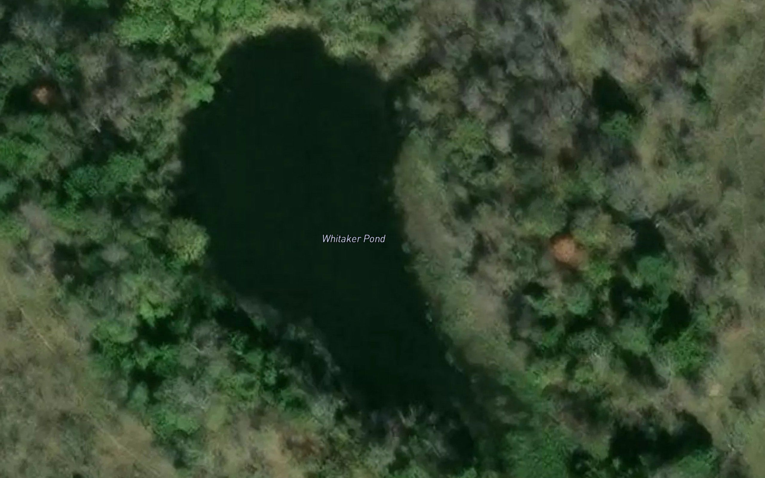 Whitaker Pond