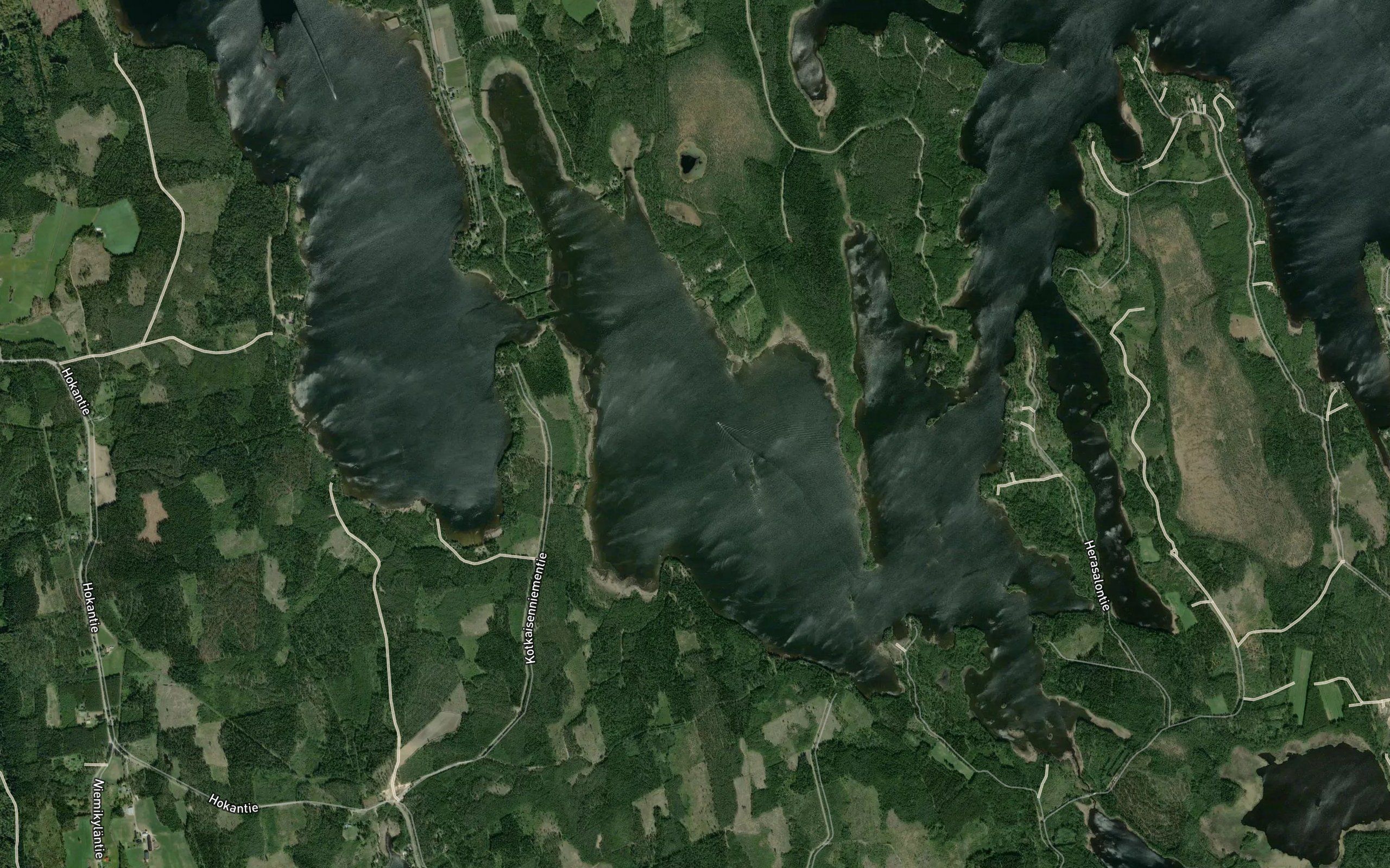 Kotkainen