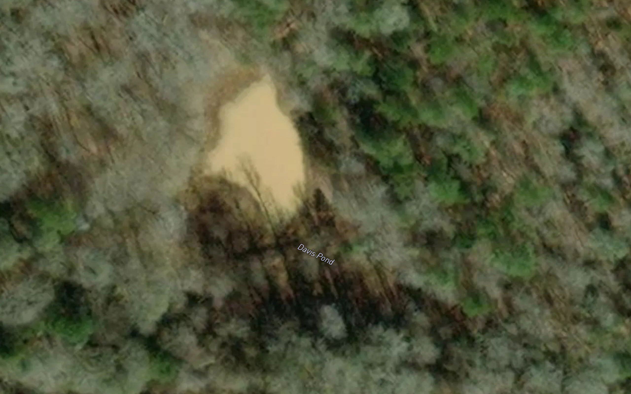 Davis Pond