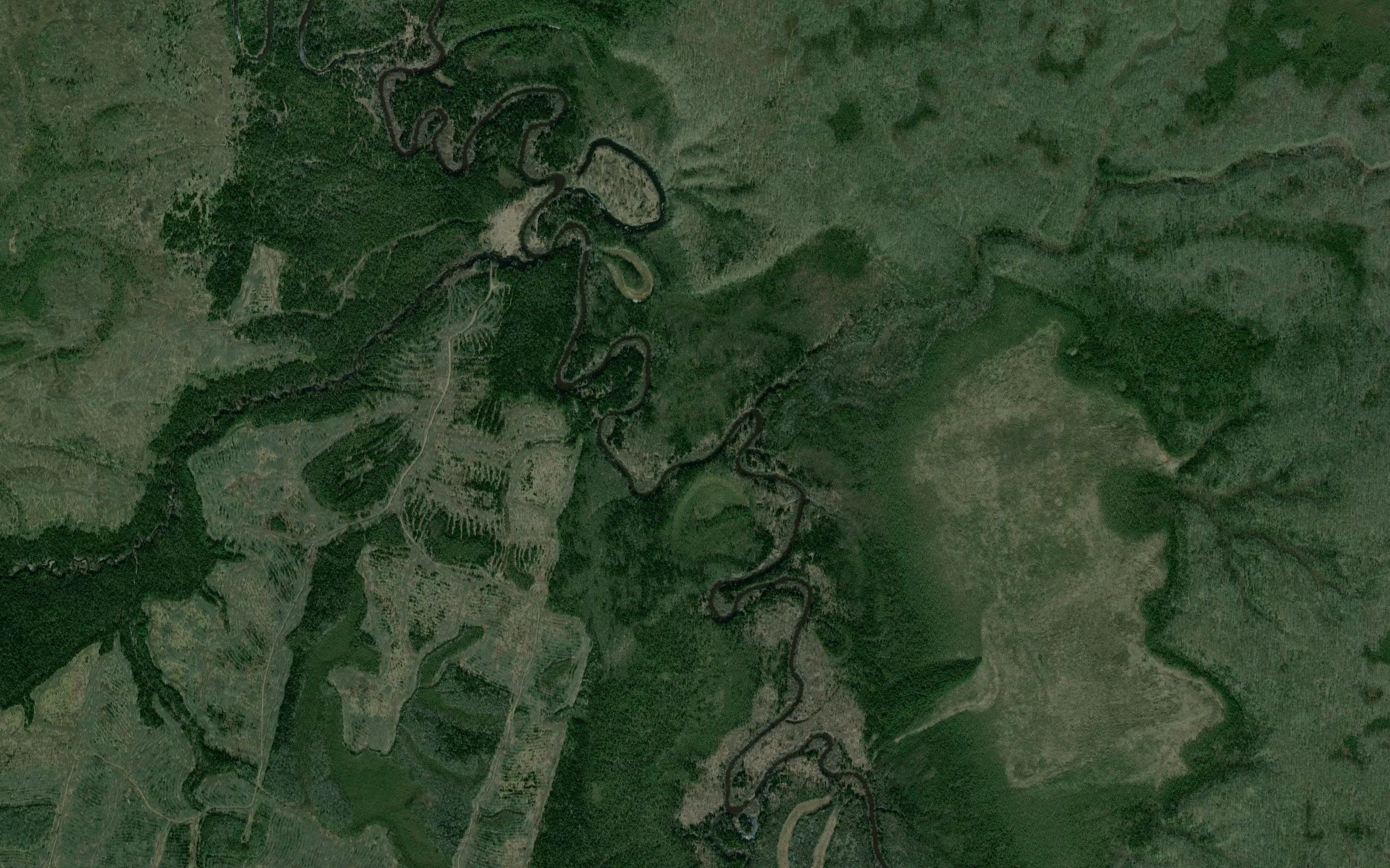 Sosnovaya