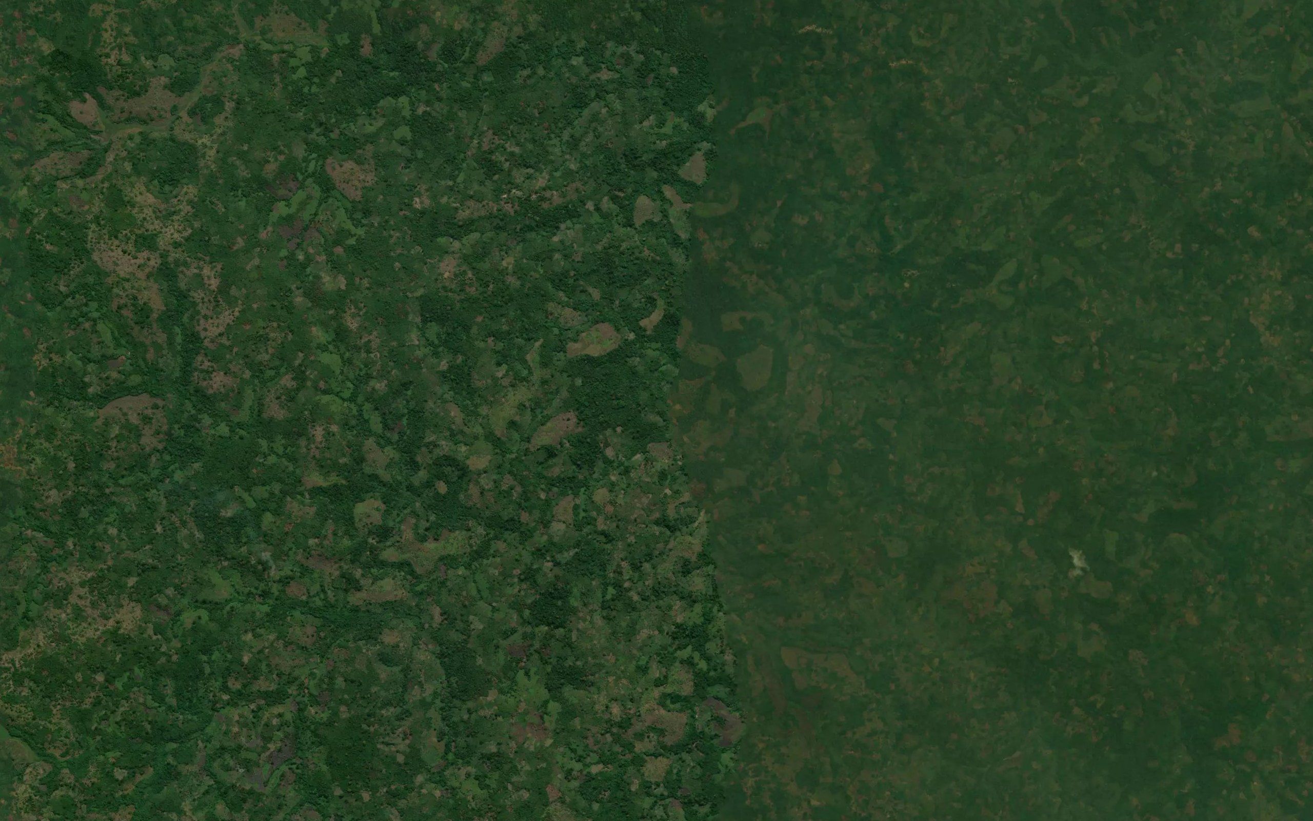 Kabui