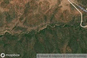 Trap Number One Spring