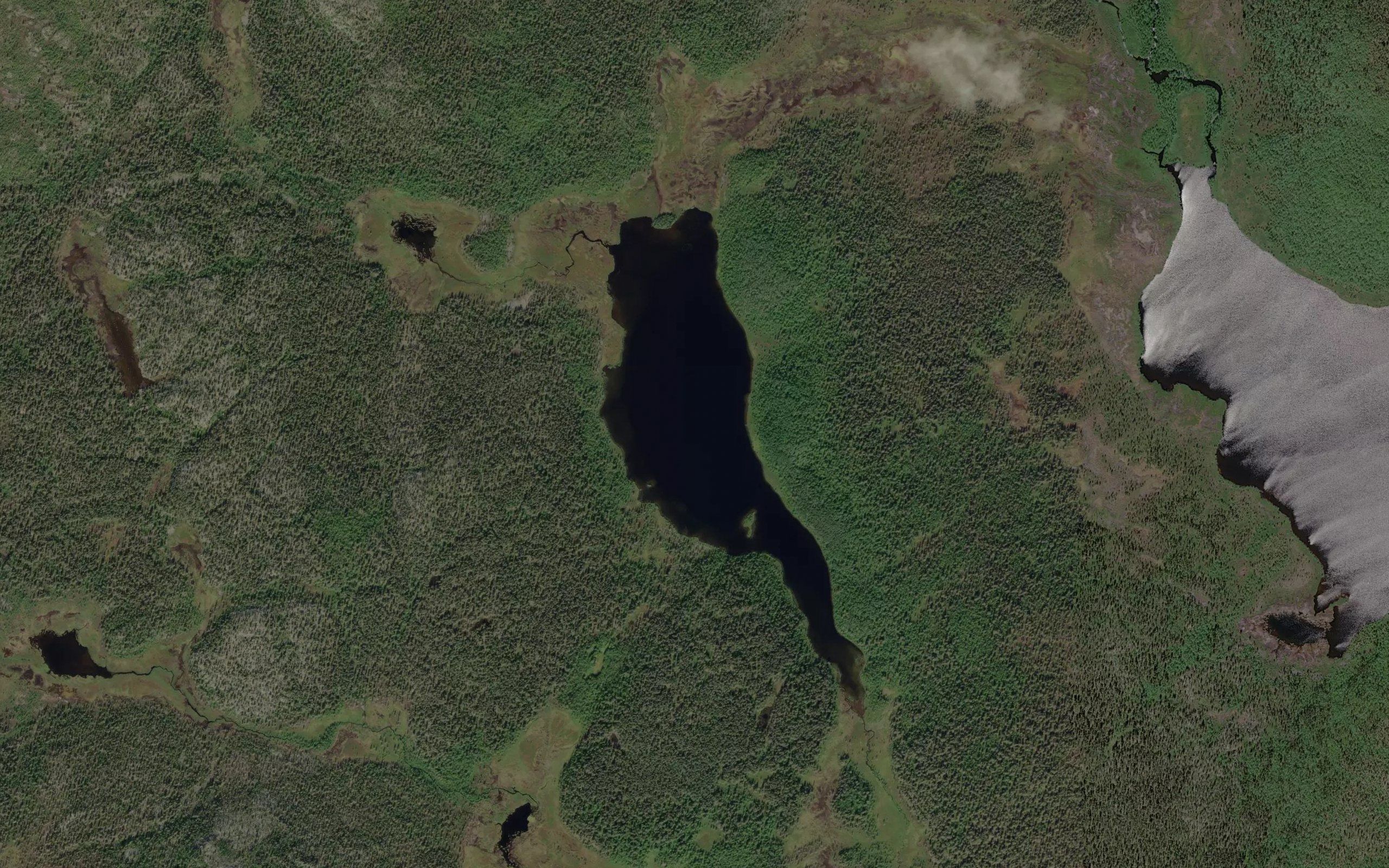 Seksamojarvi
