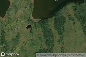 Endospruce Lakes