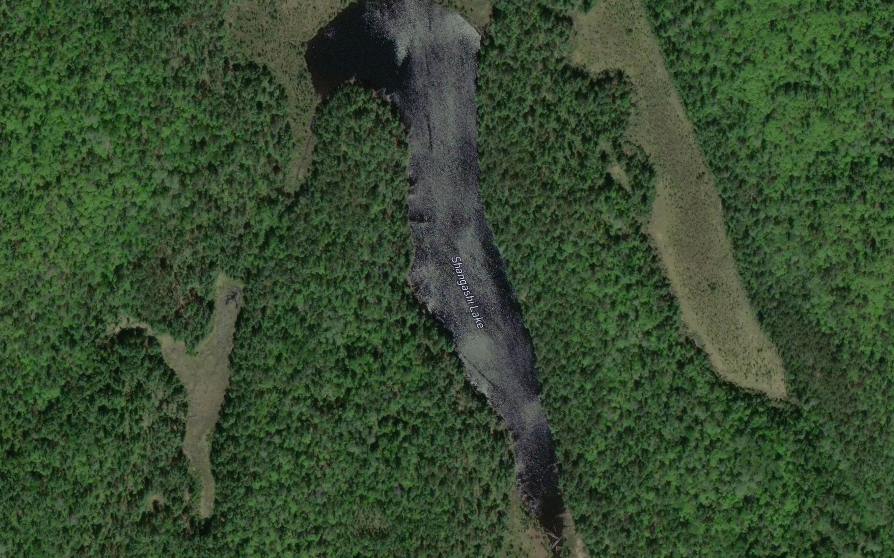 Satellite map of the Shangashi Lake