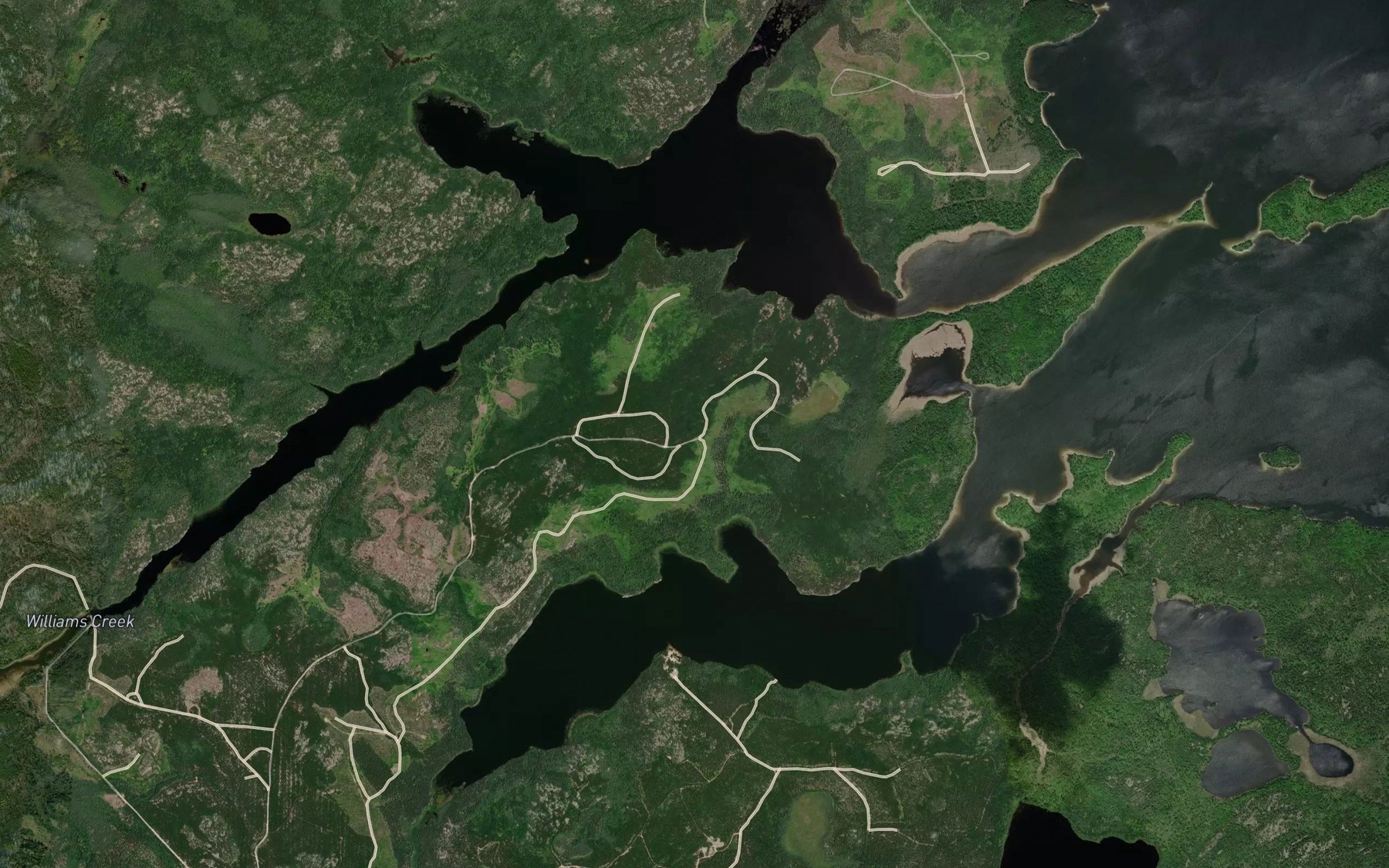 Satellite map of the Williams Creek