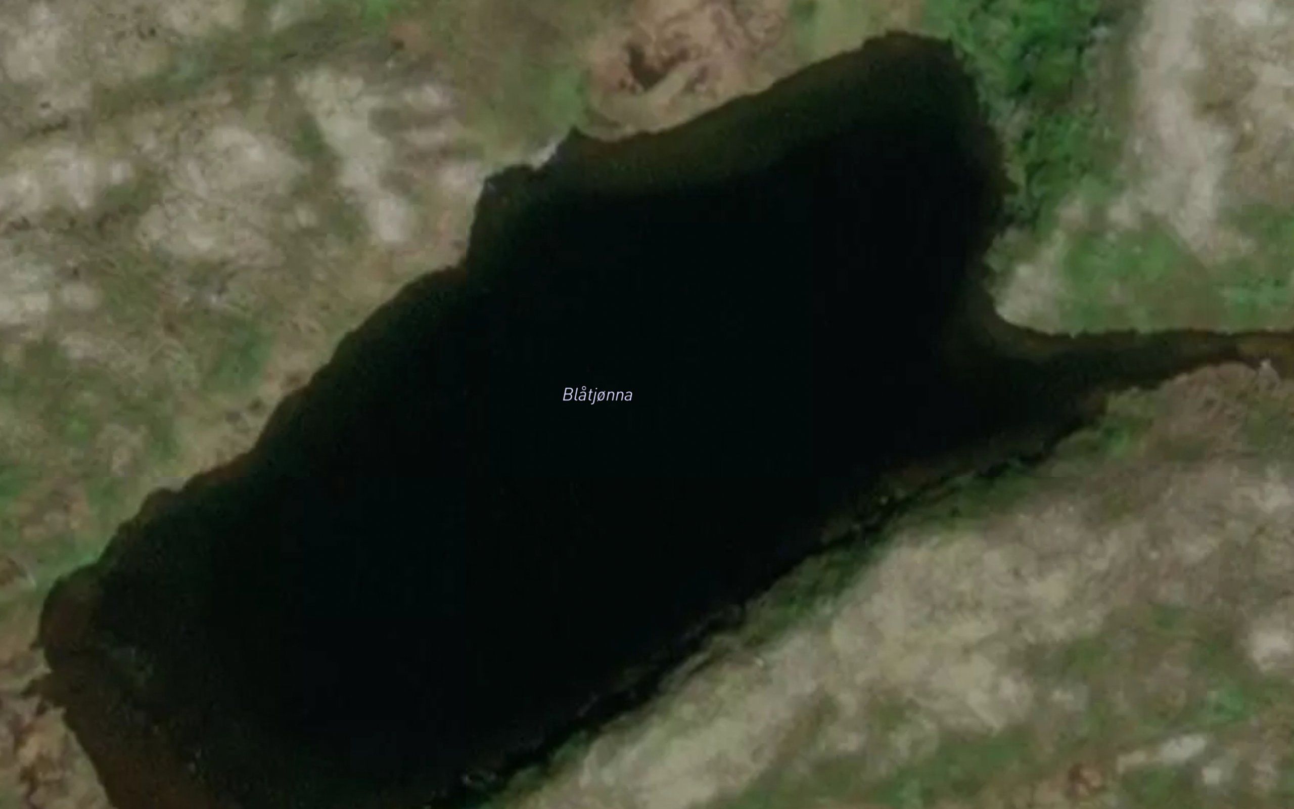 Blatjorna