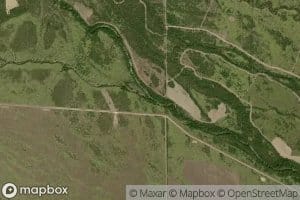 Los Olmos Creek