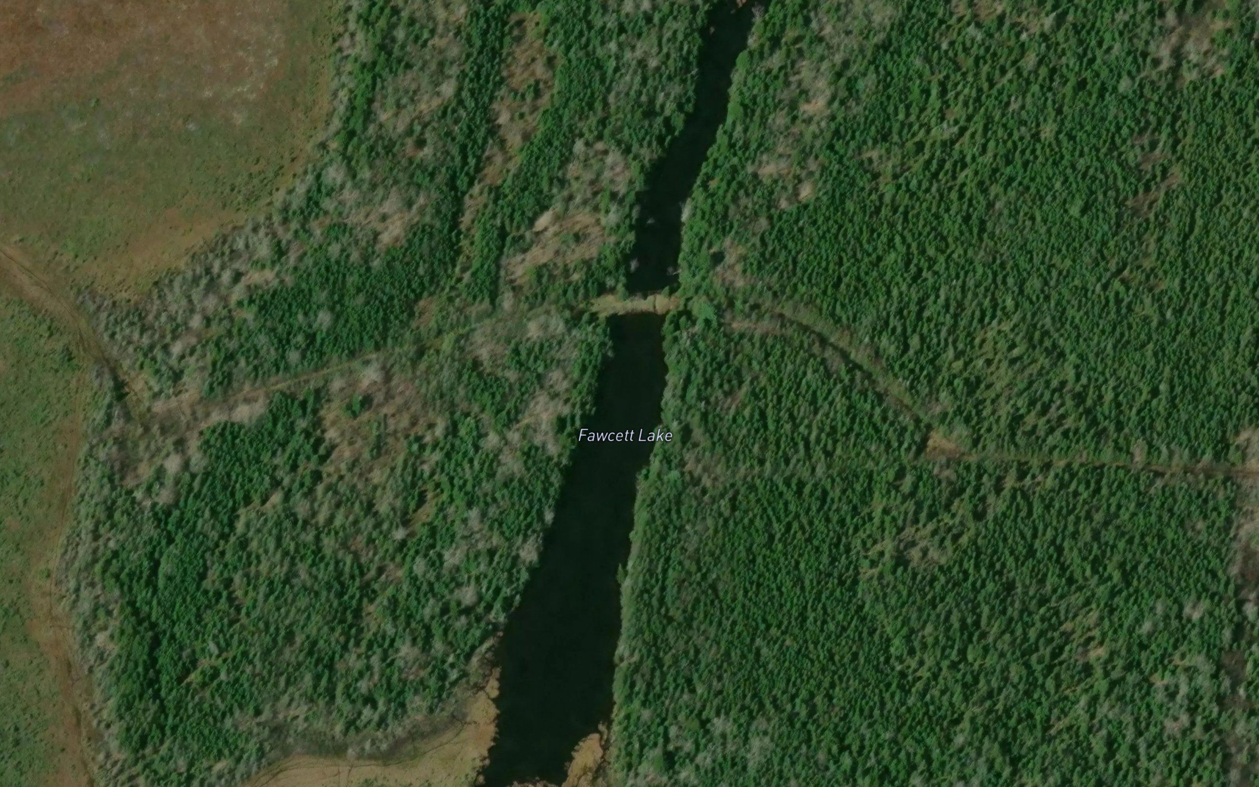 Fawcett Lake