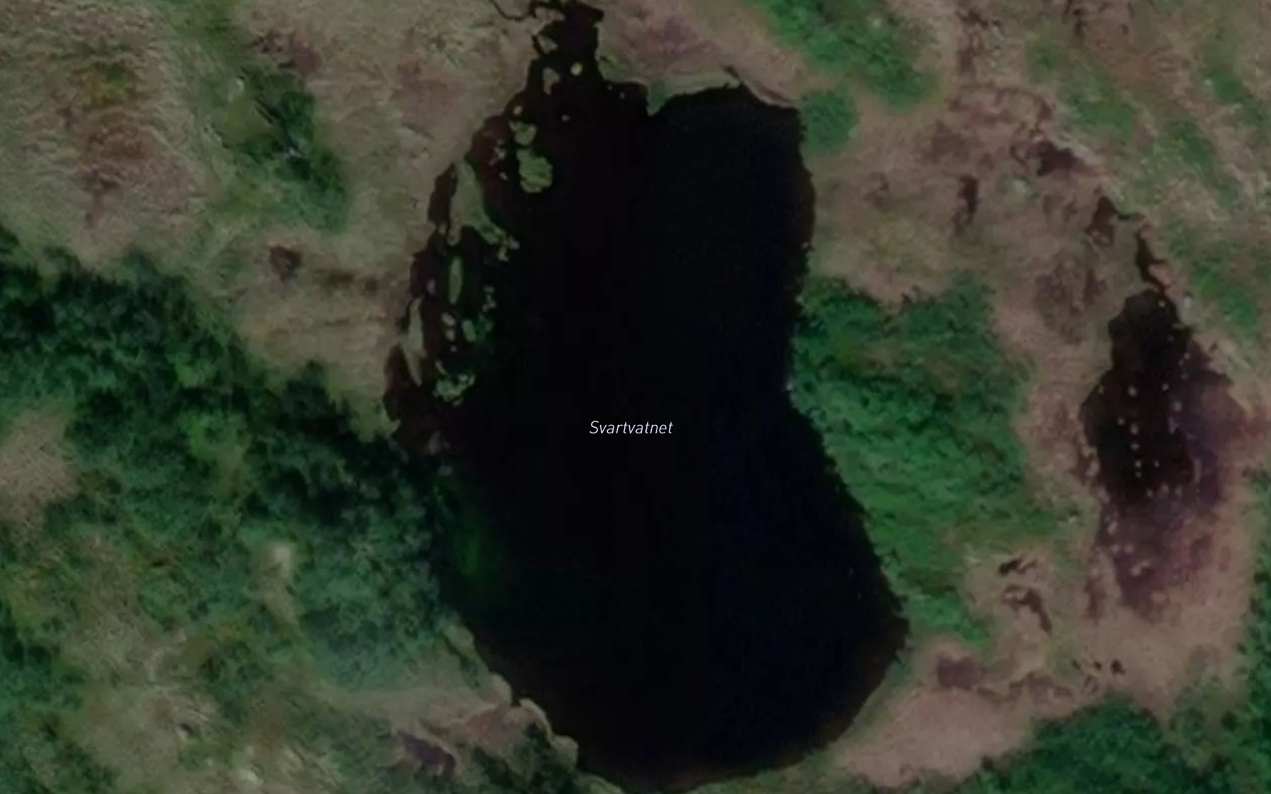 Satellite map of the Svartevatnet