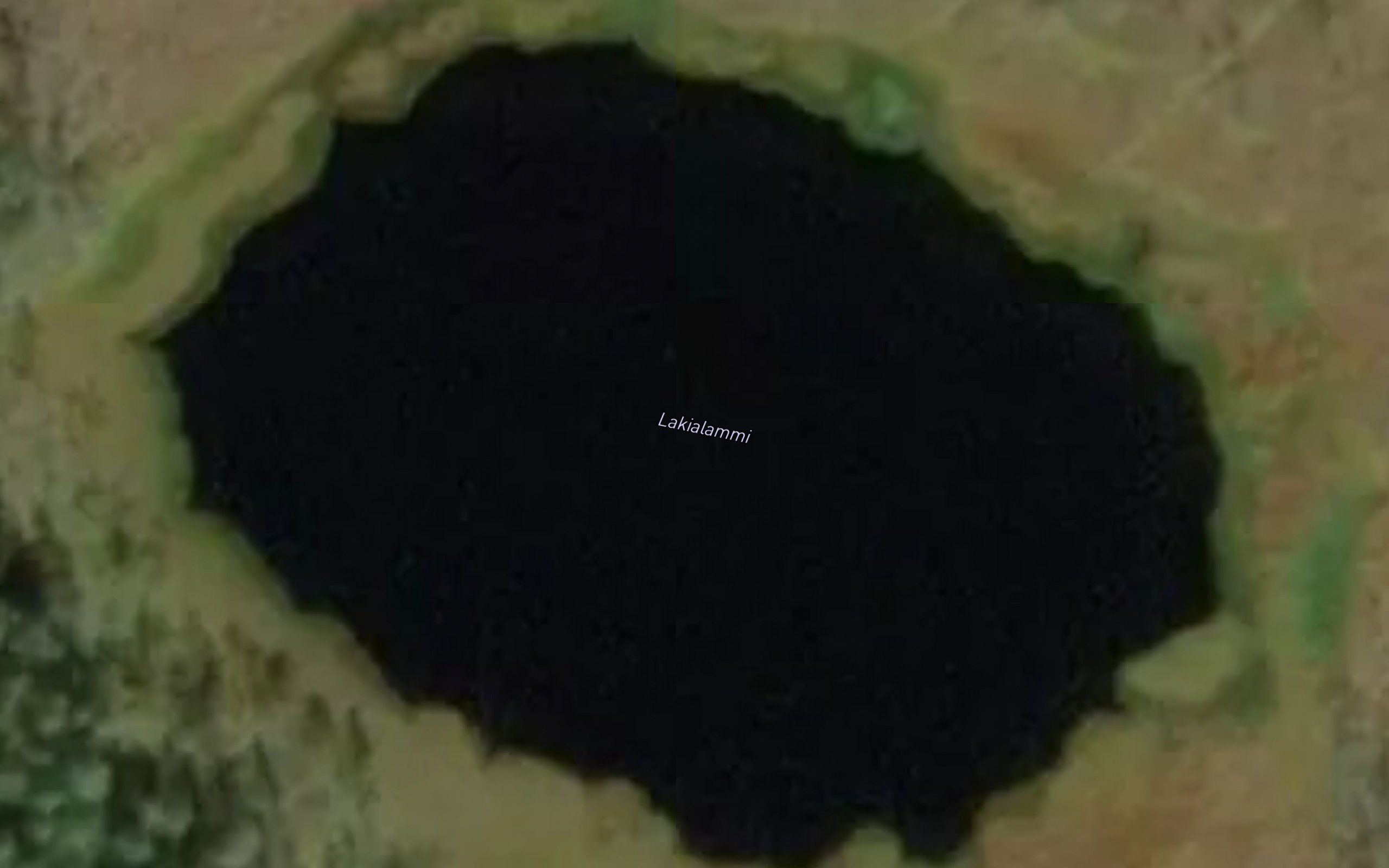 Lakialammi