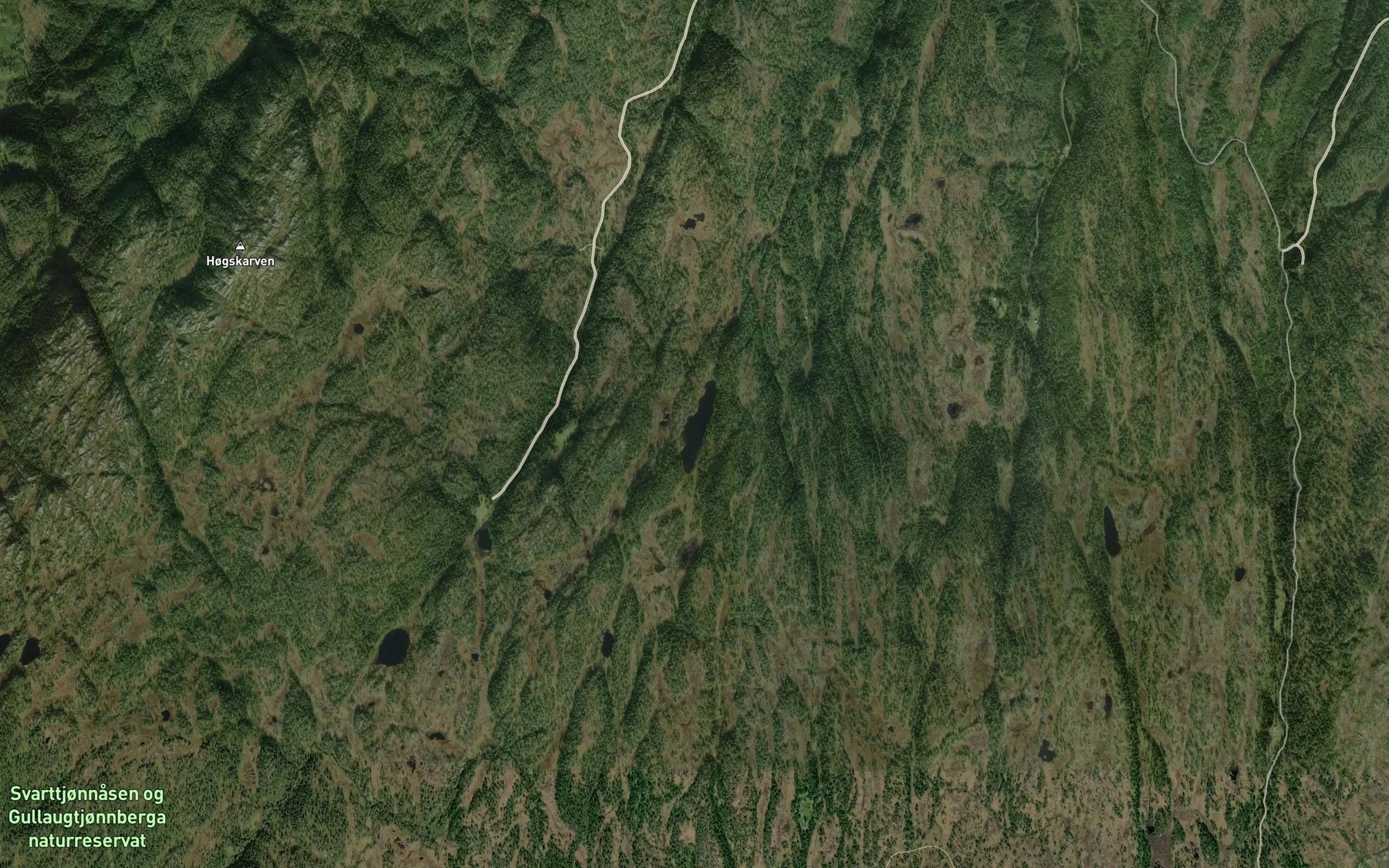 Satellite map of the Gaddvatnet