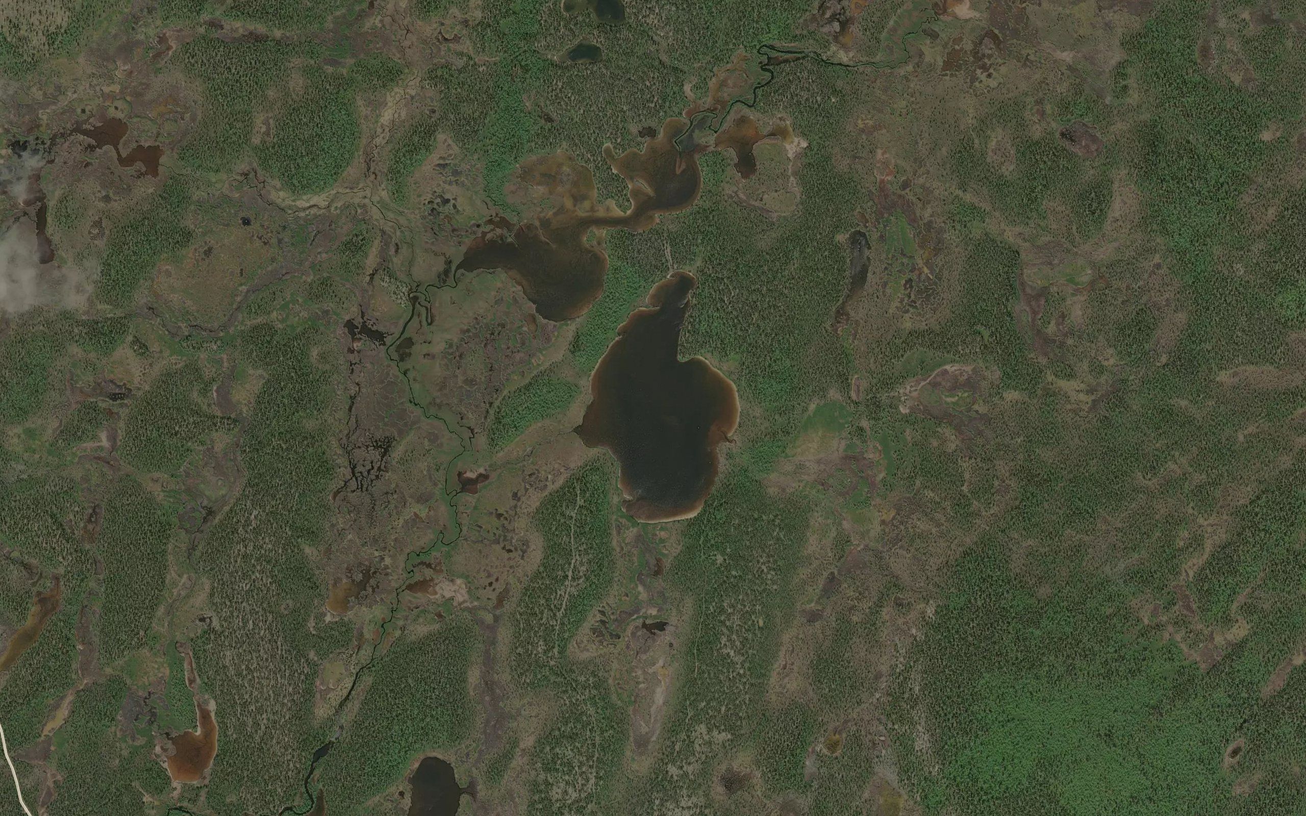 Savrisjavri
